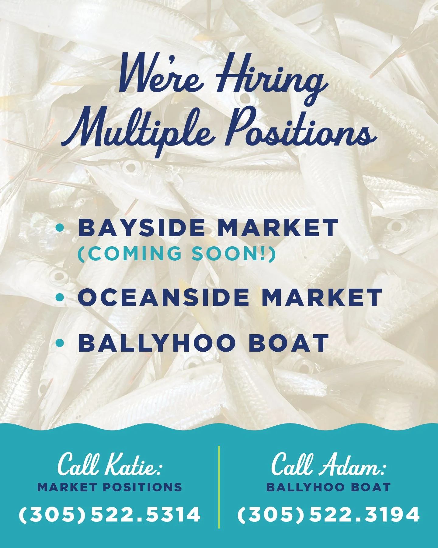 WE&rsquo;RE STILL HIRING! 🐟

We&rsquo;re still looking for great people to join the crew at Eat Florida Seafood + Grade A Bait!

Now hiring for:
📍 Bayside Market (NEW!)
📍 Oceanside Market
🚤 The Ballyhoo Boat

If you&rsquo;re dependable, hardworki