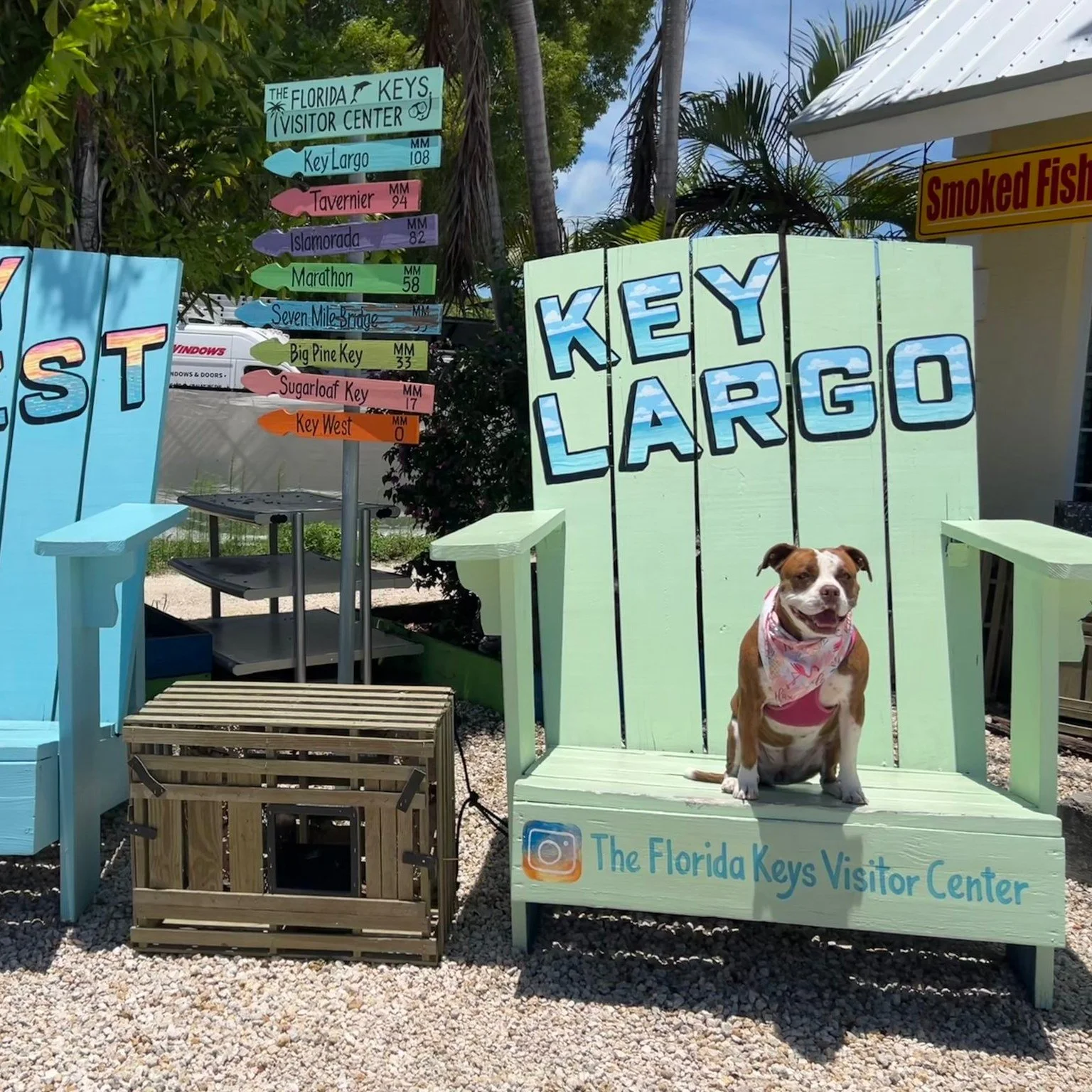 It's Tiki Tuesday and she can't wait to welcome you to our new "Bayside Market", coming real soon! Stay tuned for our official opening date!