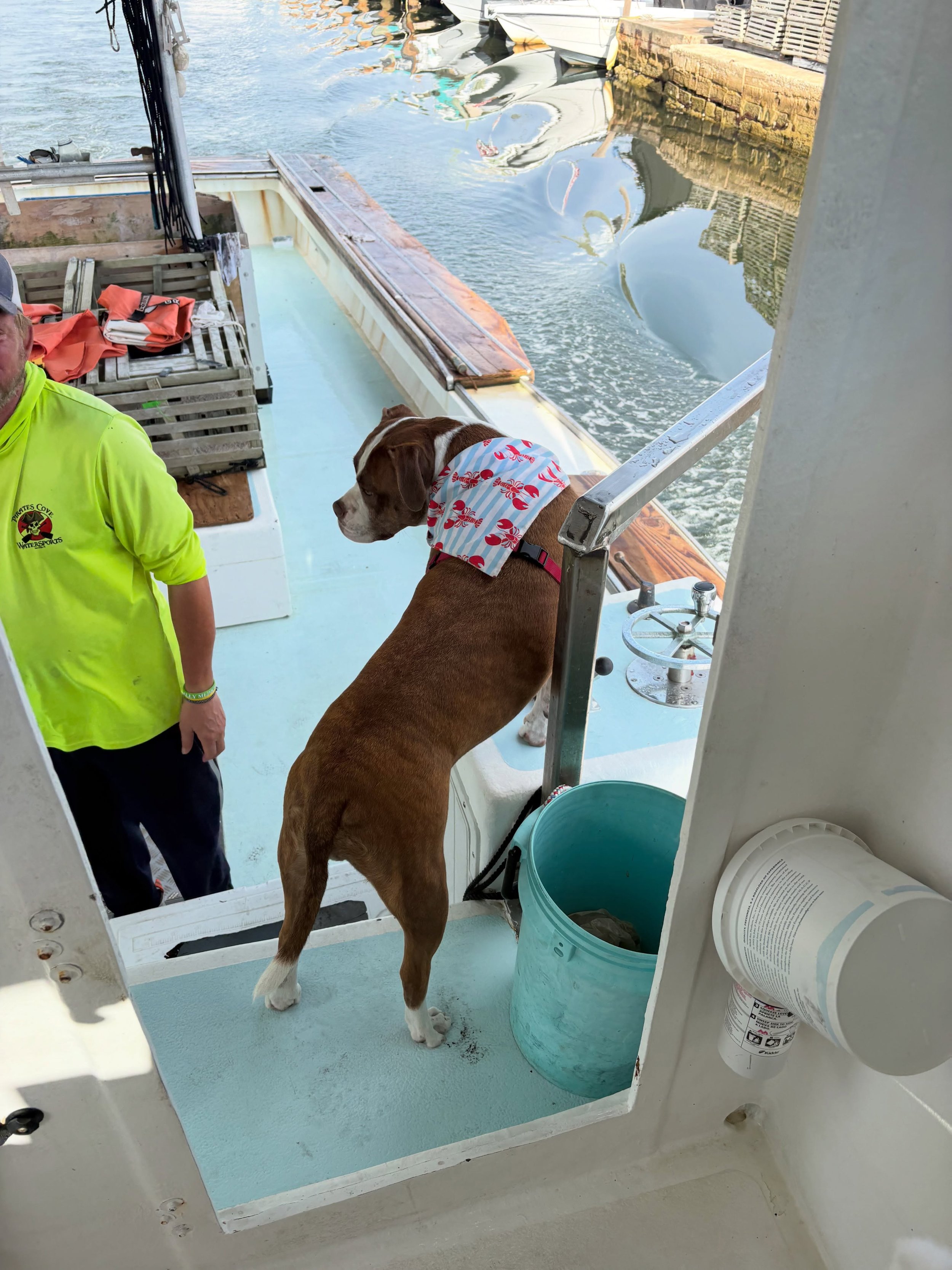 We are calling today #TikiThursday because this morning, Tiki decided she wasn&rsquo;t getting left on the dock. So she hopped on the &lsquo;Miss Jean&rsquo; and Adam figured out she was aboard when they were down the canal 😂. Nothing keeps this gir