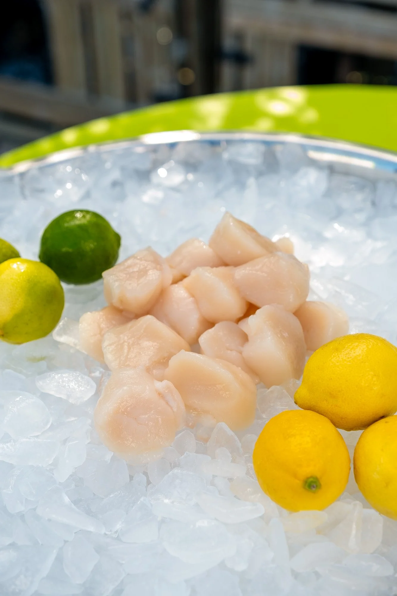 Scallops 10/20 - 1lb