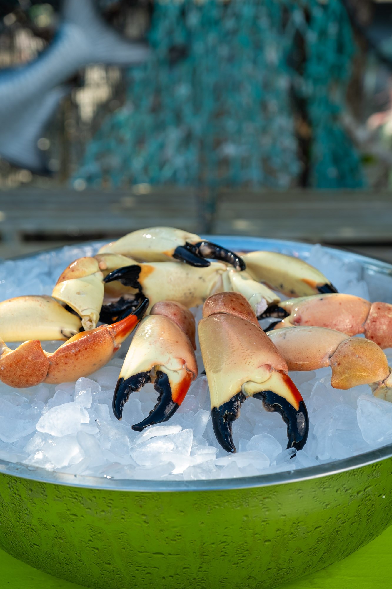 Florida Stone Crab Claws, Medium – 1 lb (about 7 claws)