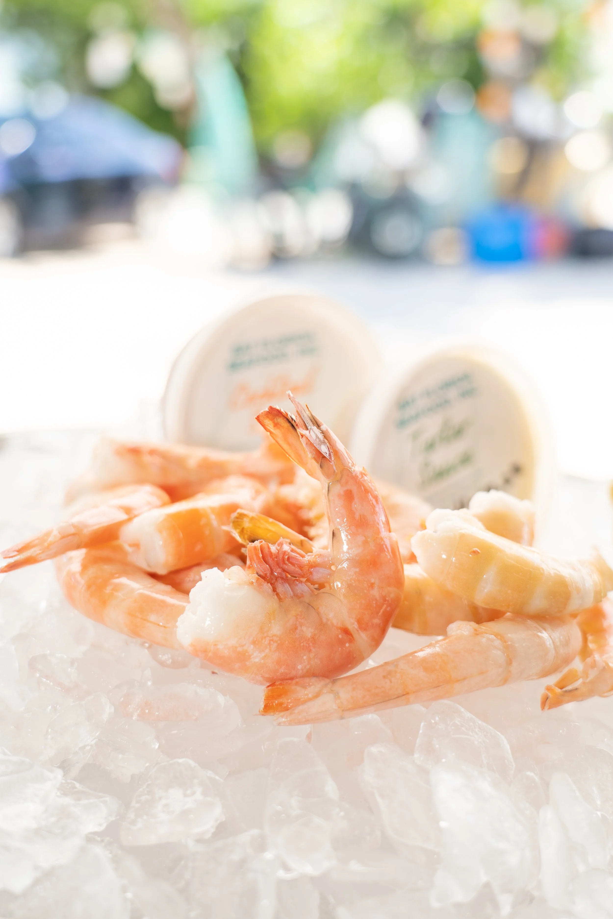 2023_10_05 EAT FLORIDA SEAFOOD-39.jpg