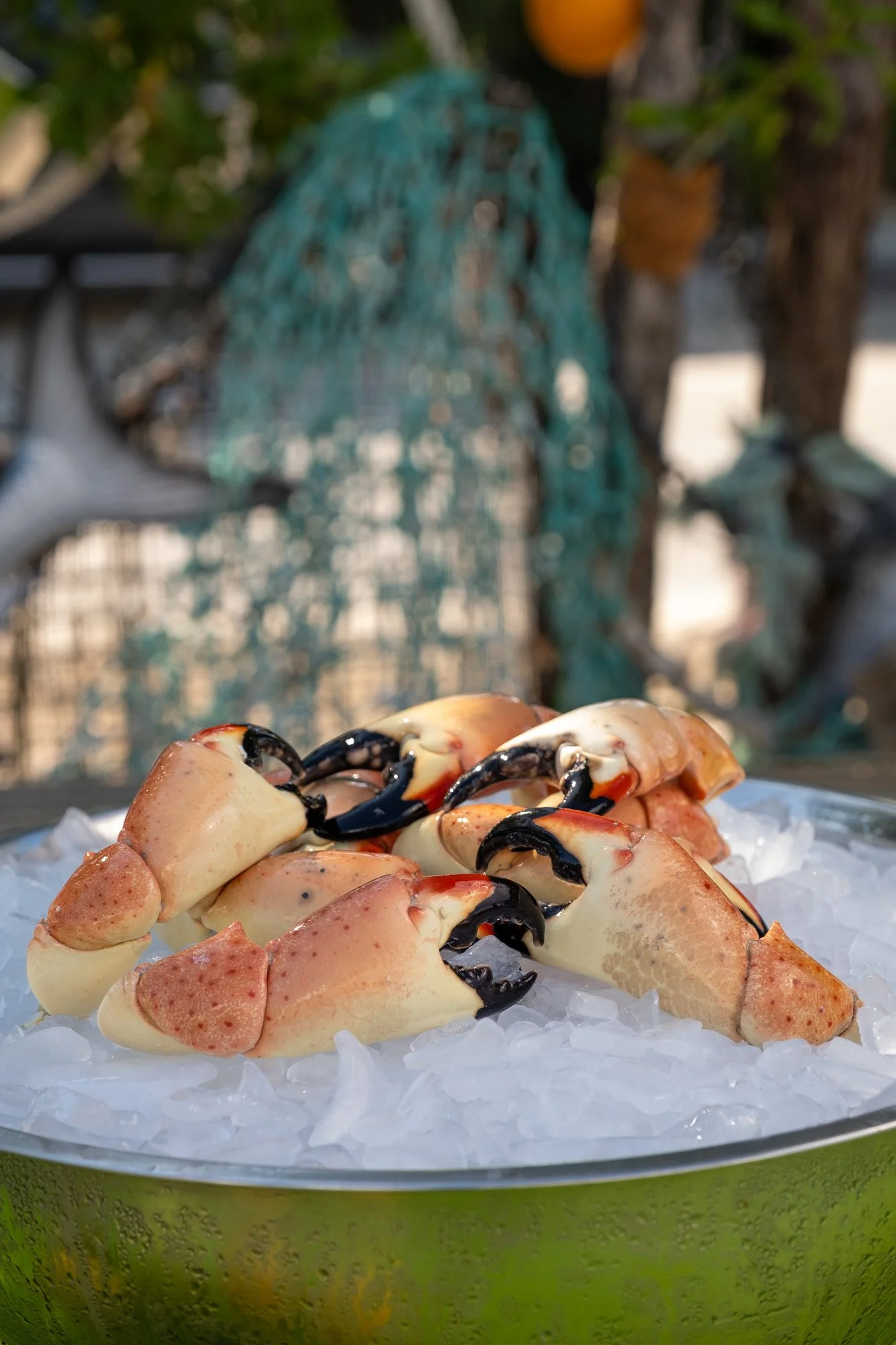 Florida Stone Crab Claws, Large – 1 lb (about 5 claws)