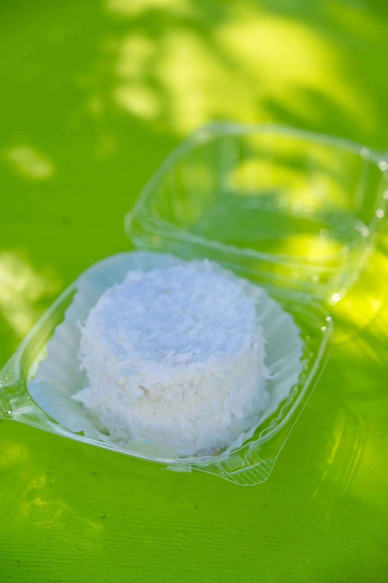 Tropical Coconut Cake