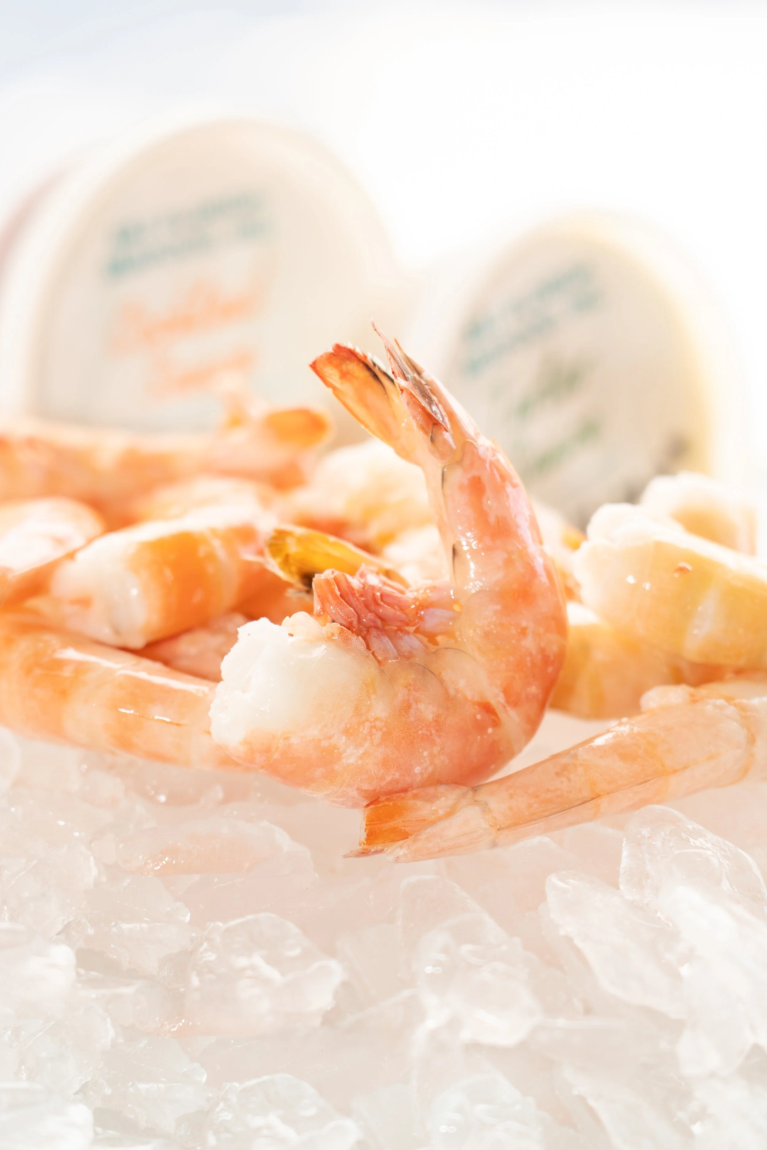 2023_10_05 EAT FLORIDA SEAFOOD-38.jpg