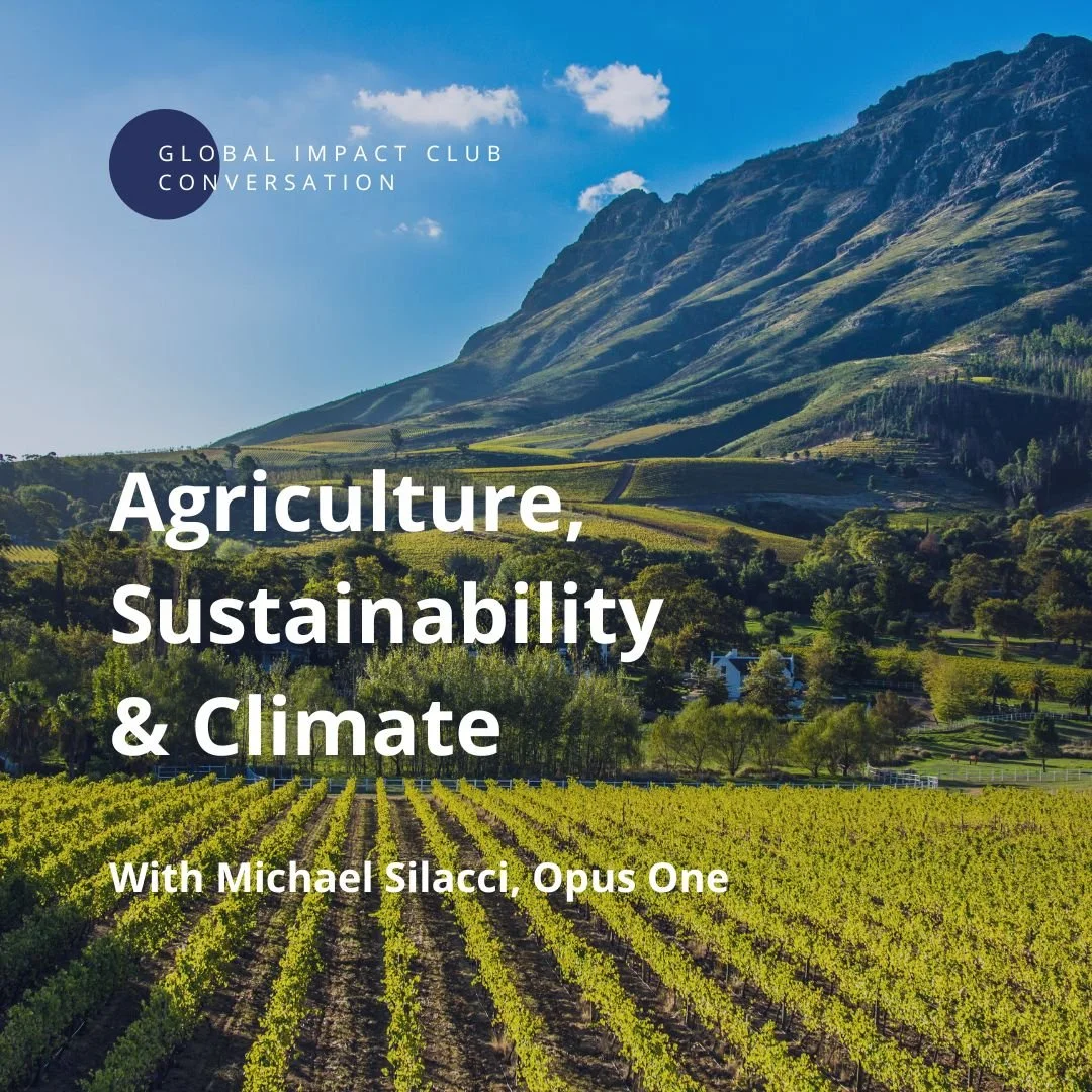 Wine second option.jpg