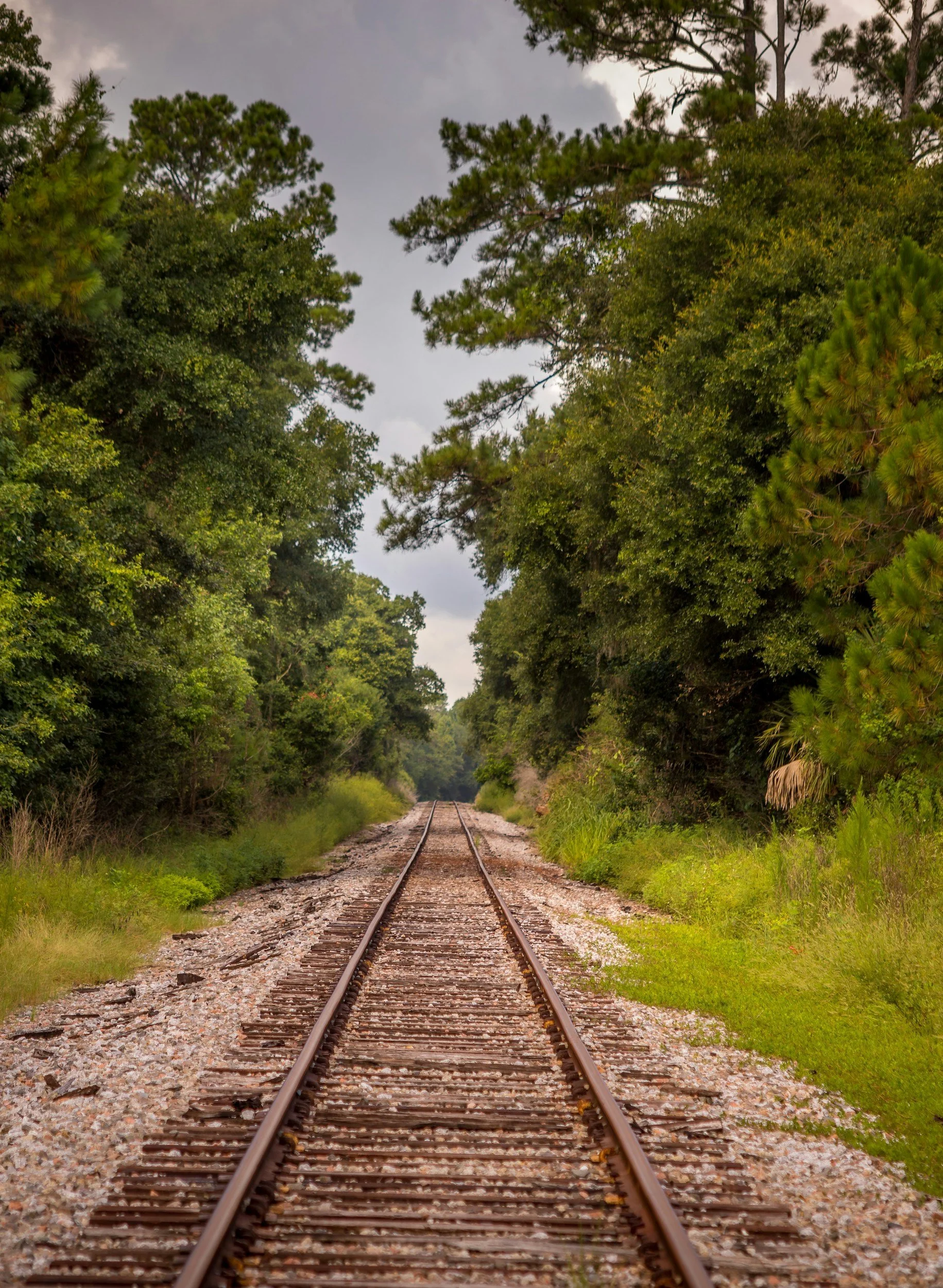 unsplash-image-yLWApdIBm_E.jpg