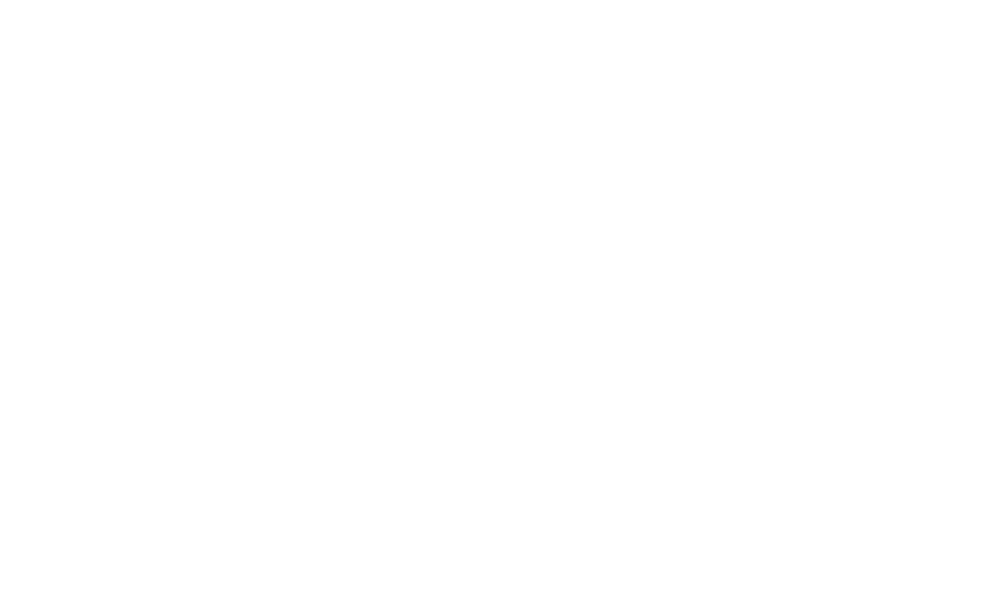 mint_logo.png