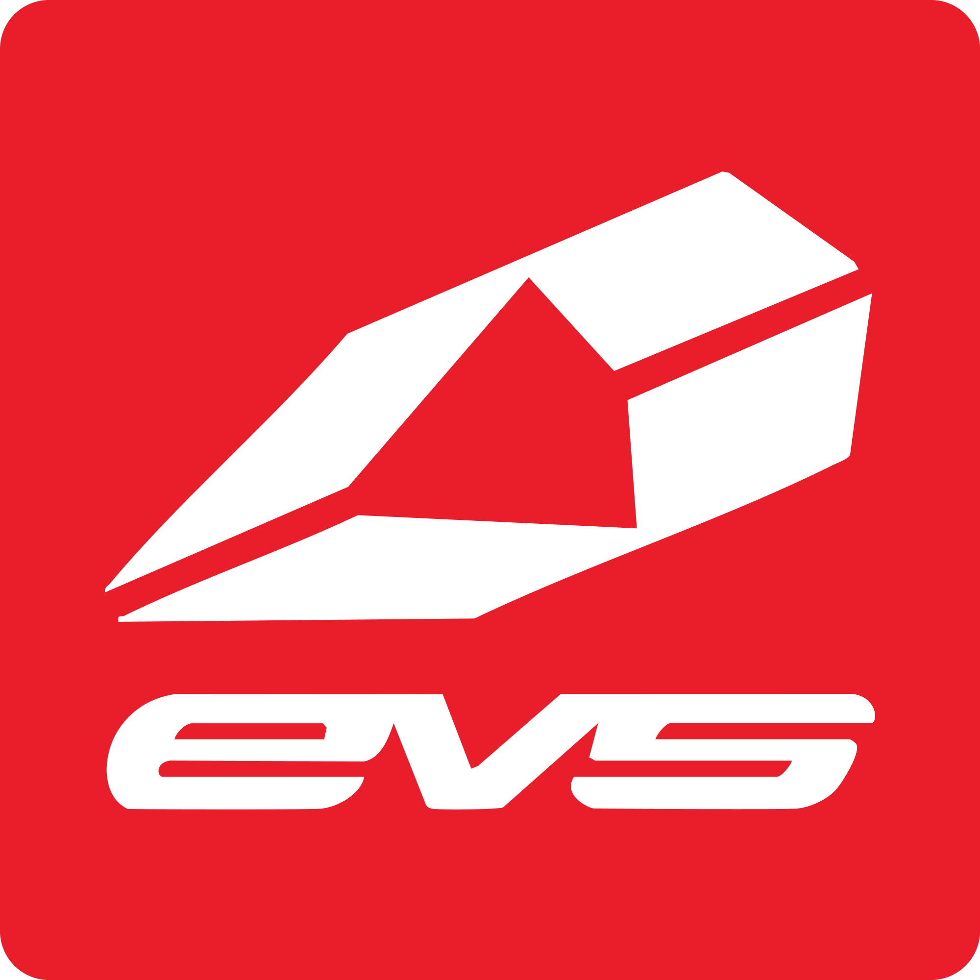 EVS.png