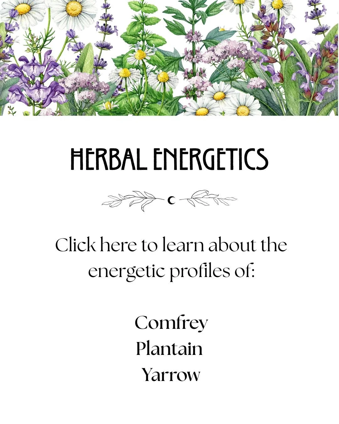 herbal energetics profiles