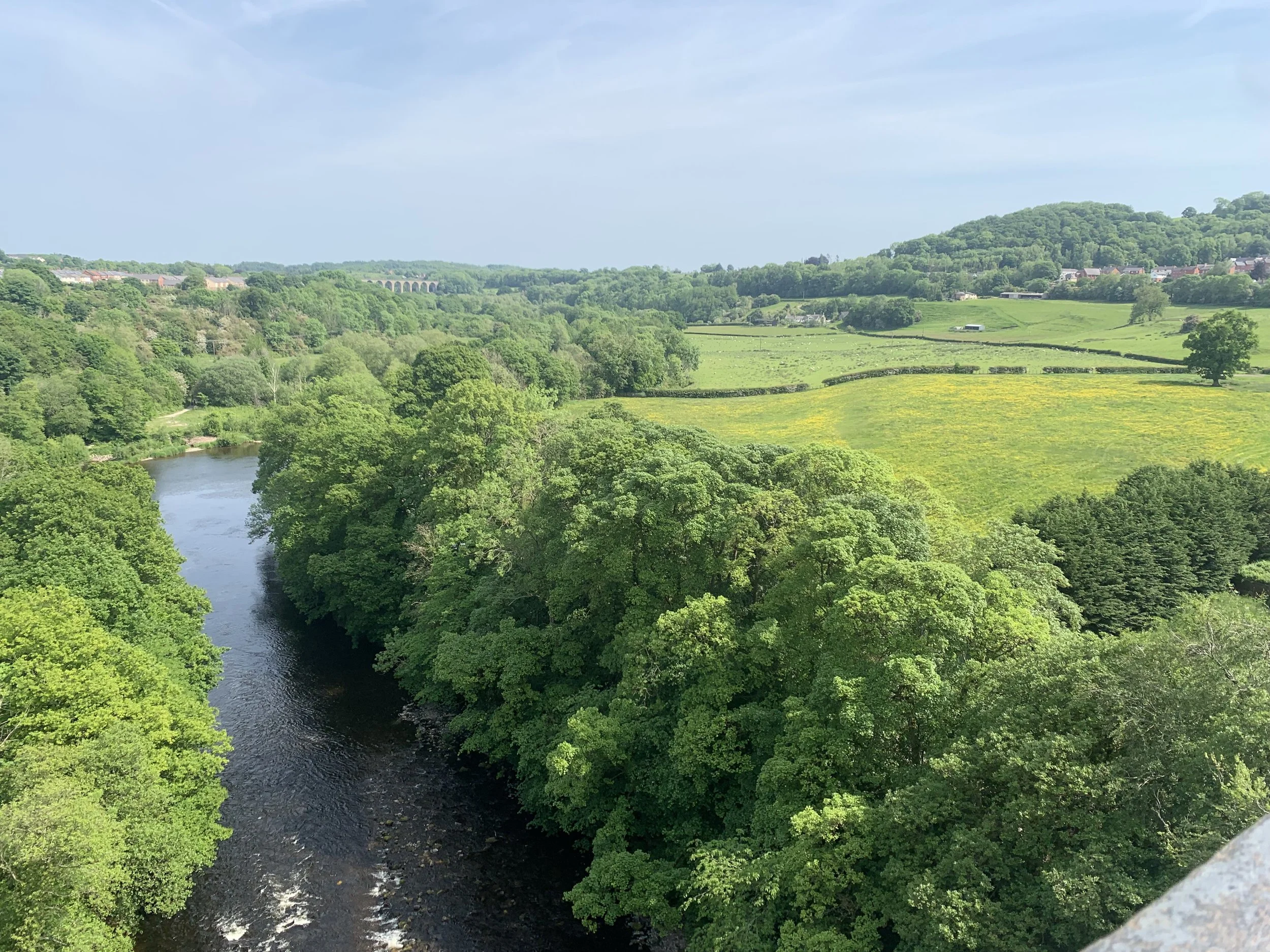 Giving Back to the Planet: Why Holmes &amp; Co Donates Monthly to Planet Wild