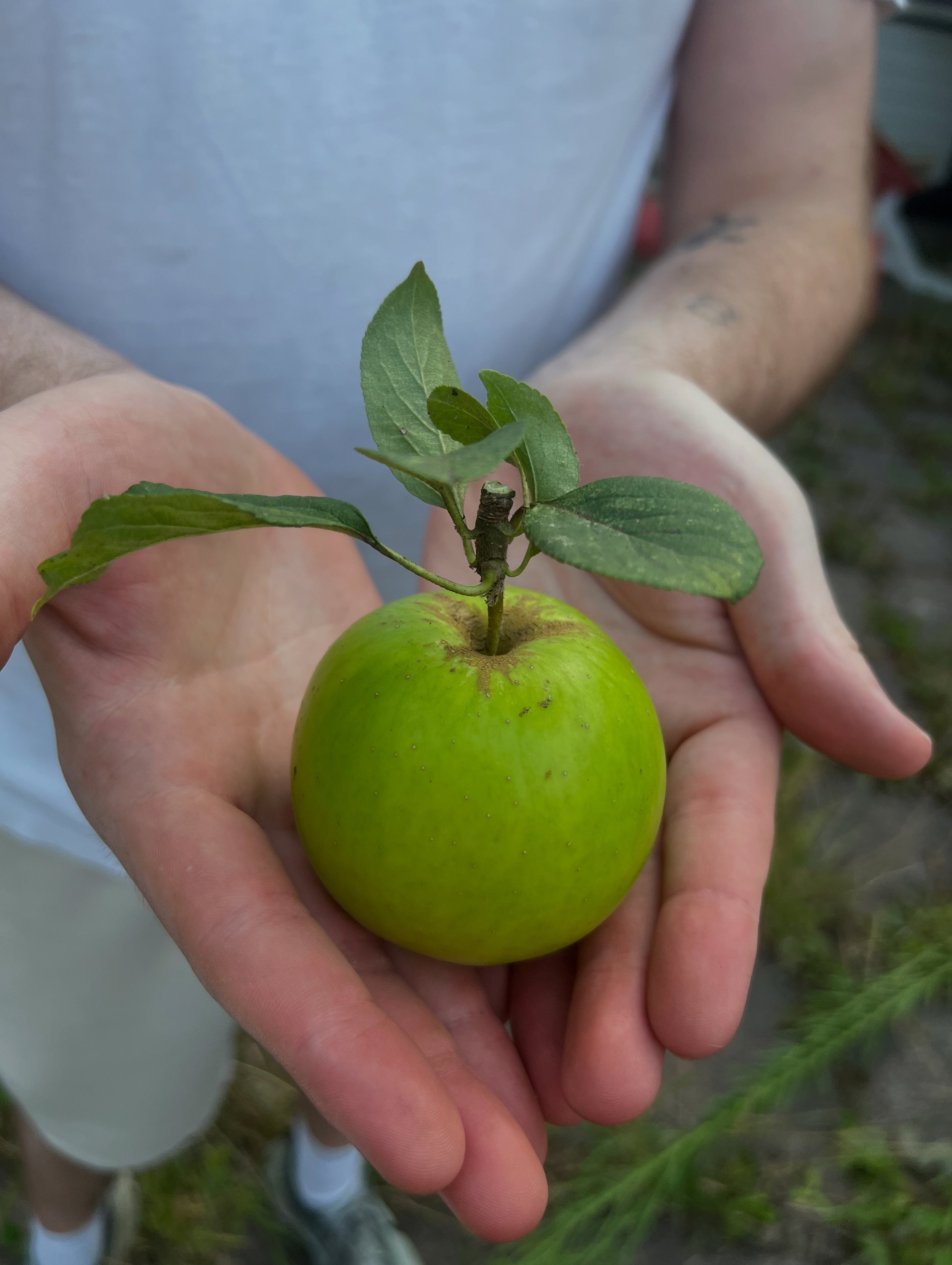 Zero Waste Liverpool: Fighting Food Waste &amp; Supporting Communities