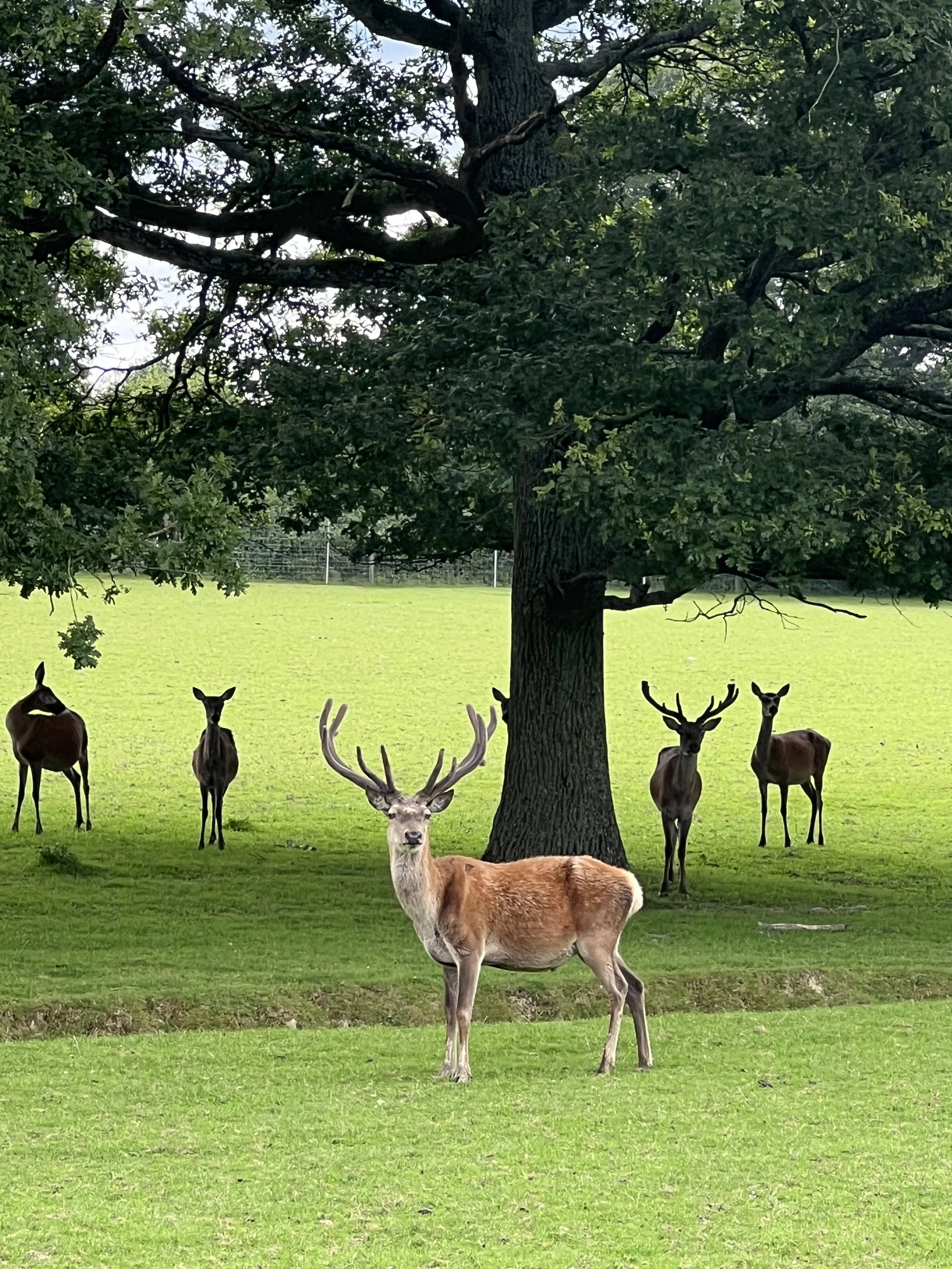 How to Stand Out at Block Viewings &amp; Why They Matter