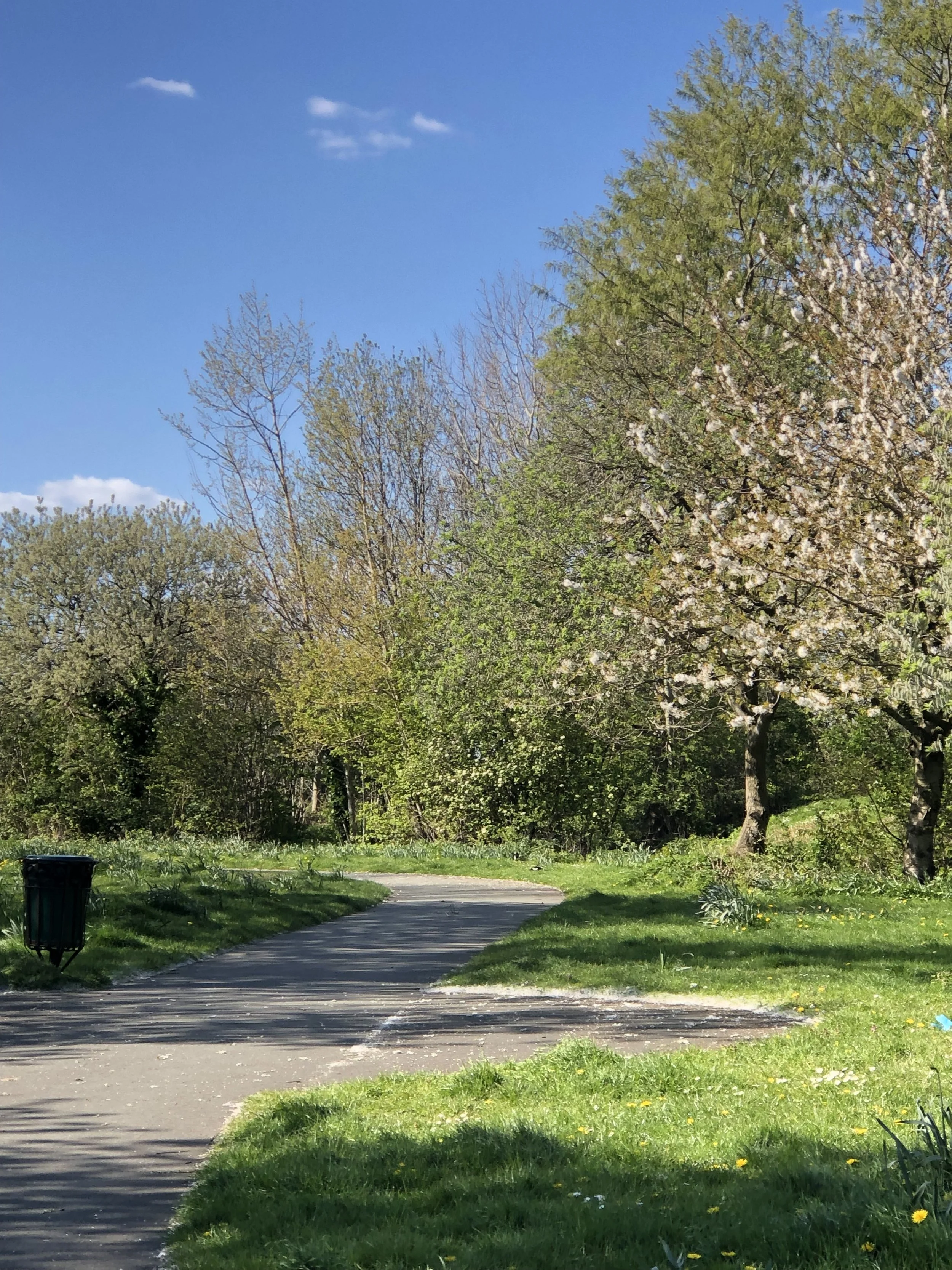 Understanding the Application Process for Renting a Property in 7 steps 