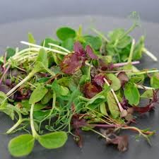 Superfood Blend