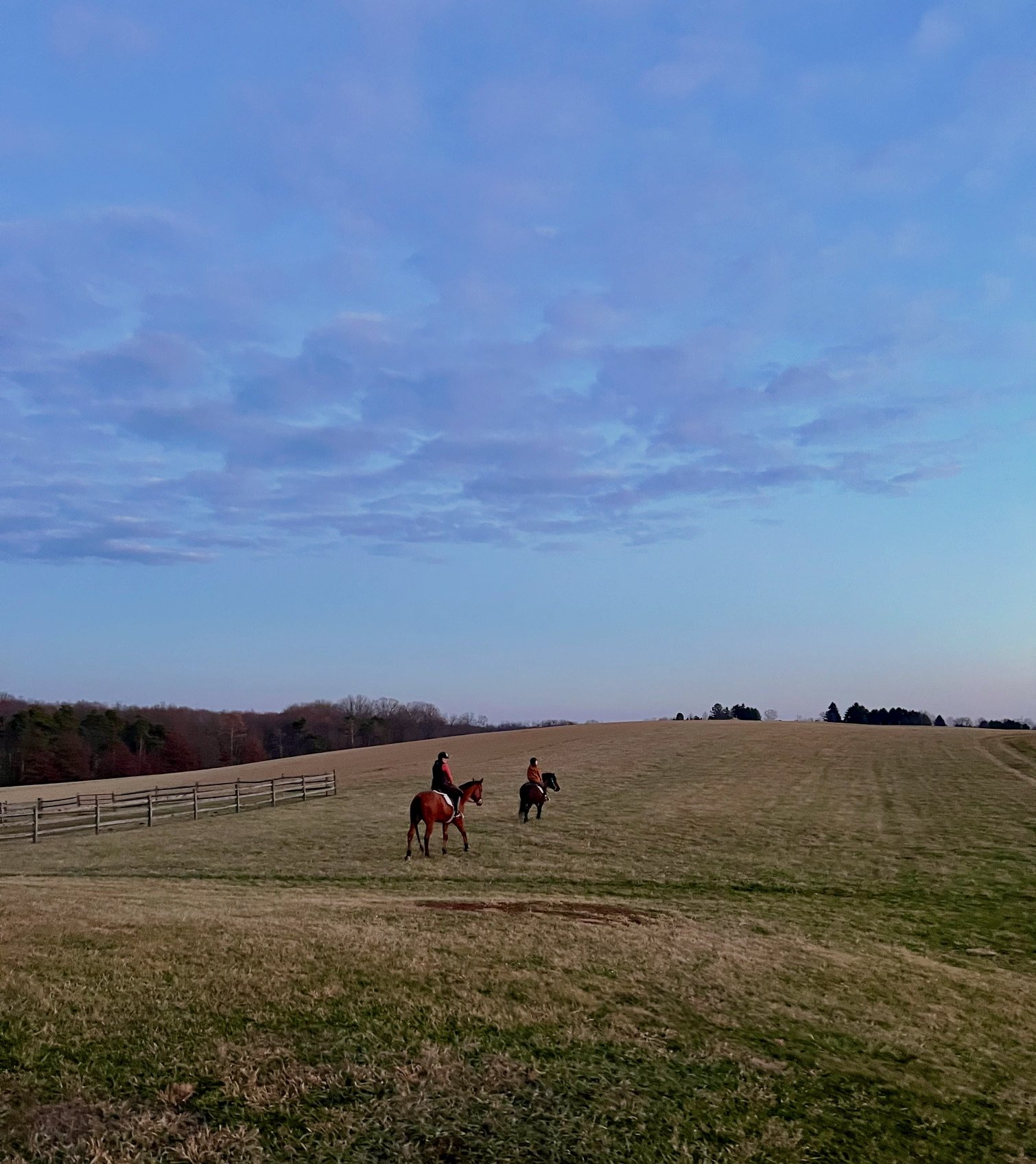 Fields and Pastures for Riding and Turnout
