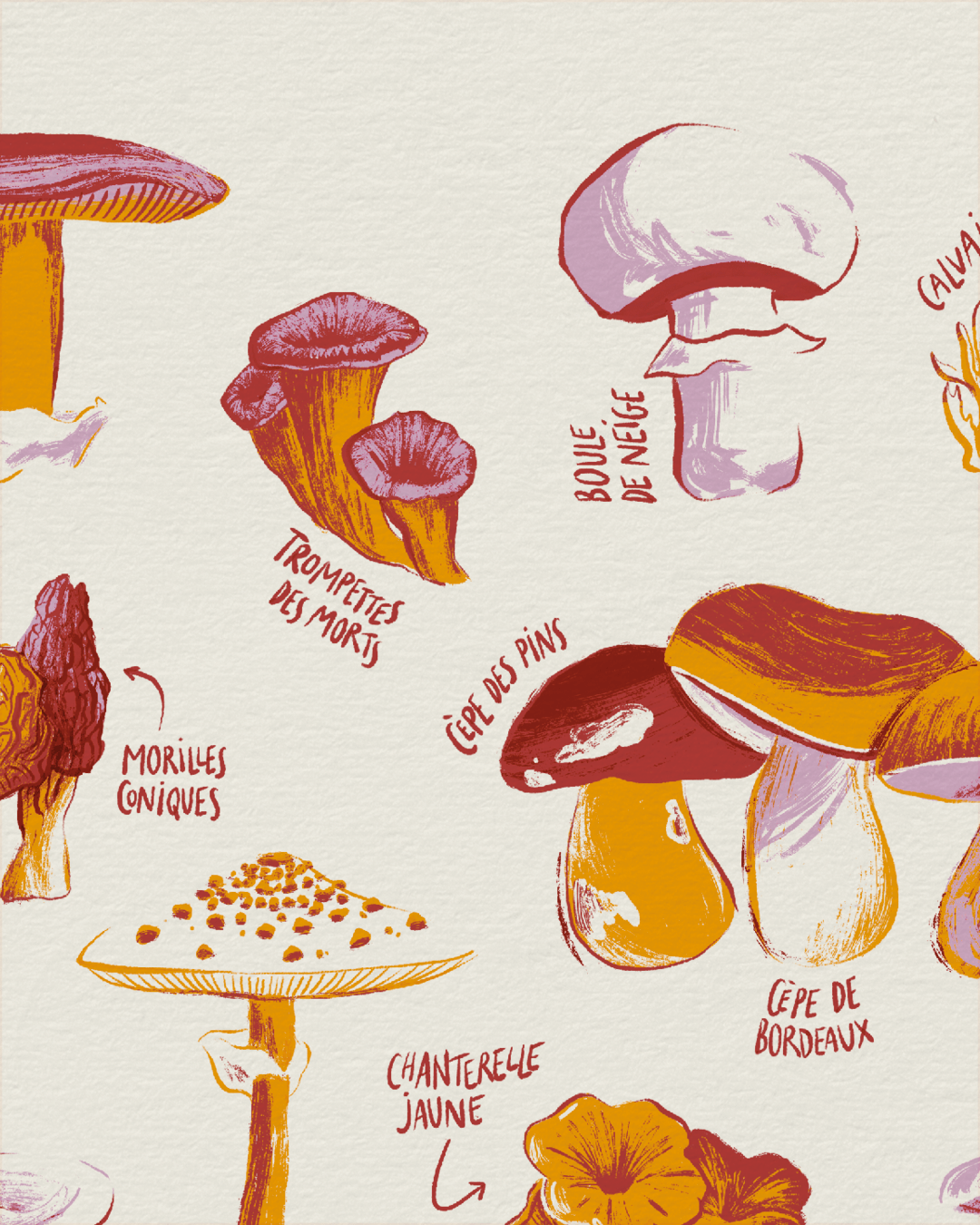Affiche-champignons-comestibles-imprime-papier-texture-cepe.png