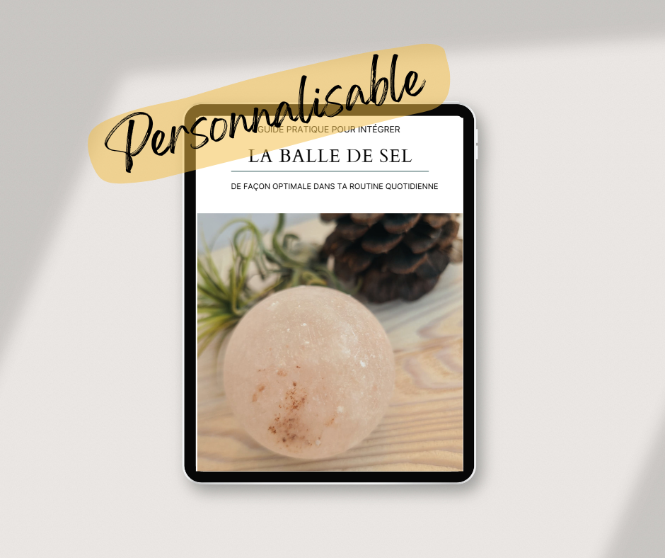 Visuels guide balle de sel modifiable.png
