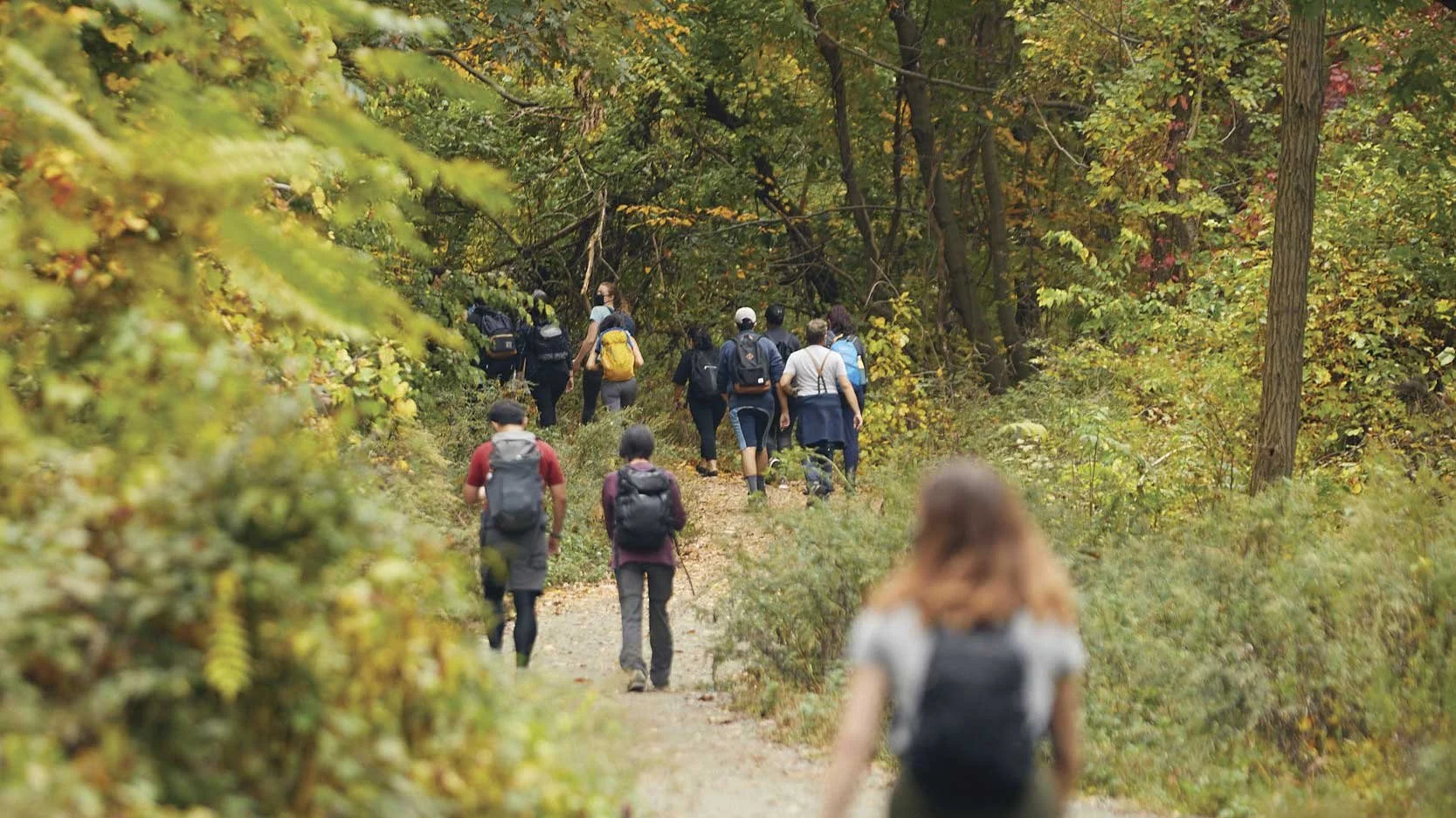 Group of people hiking on a forest trail in Breakneck Ridge area, surrounded by trees with green and yellow foliage.