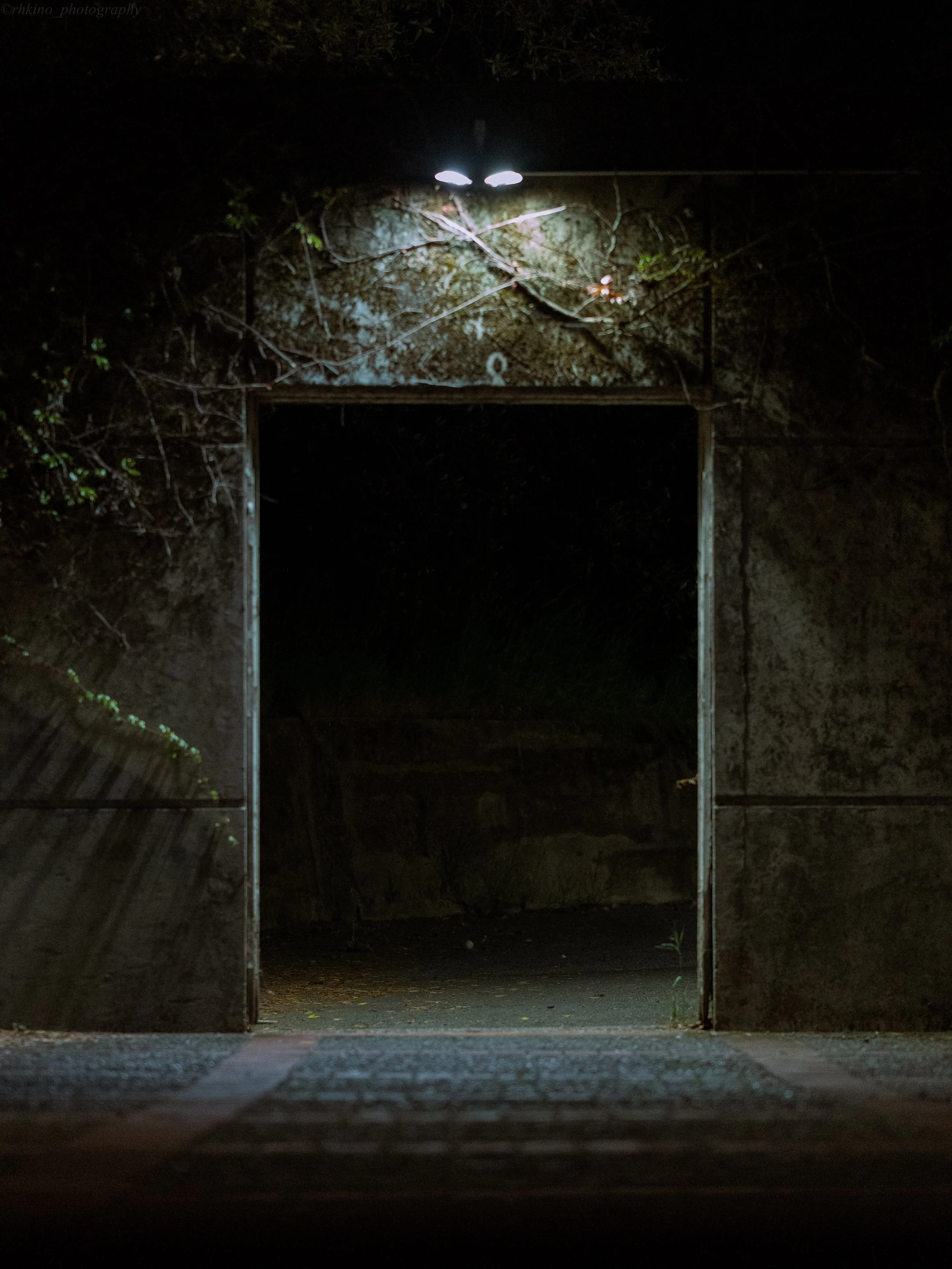 Thursday, March 26, 2026-7.jpg