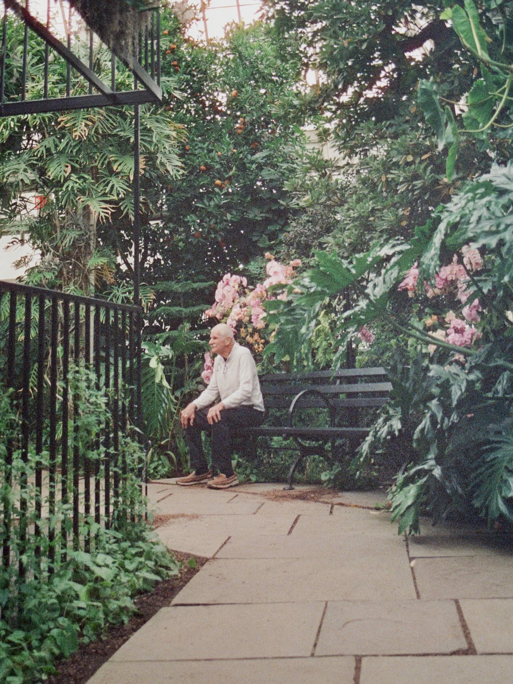CineStill 800T