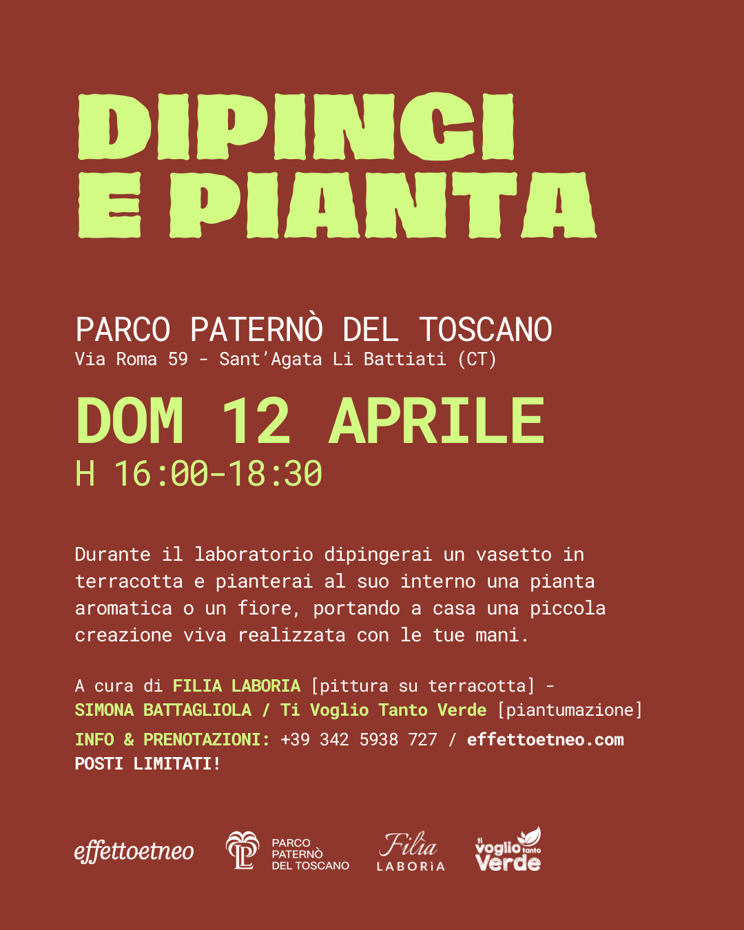 dipingi e pianta.png