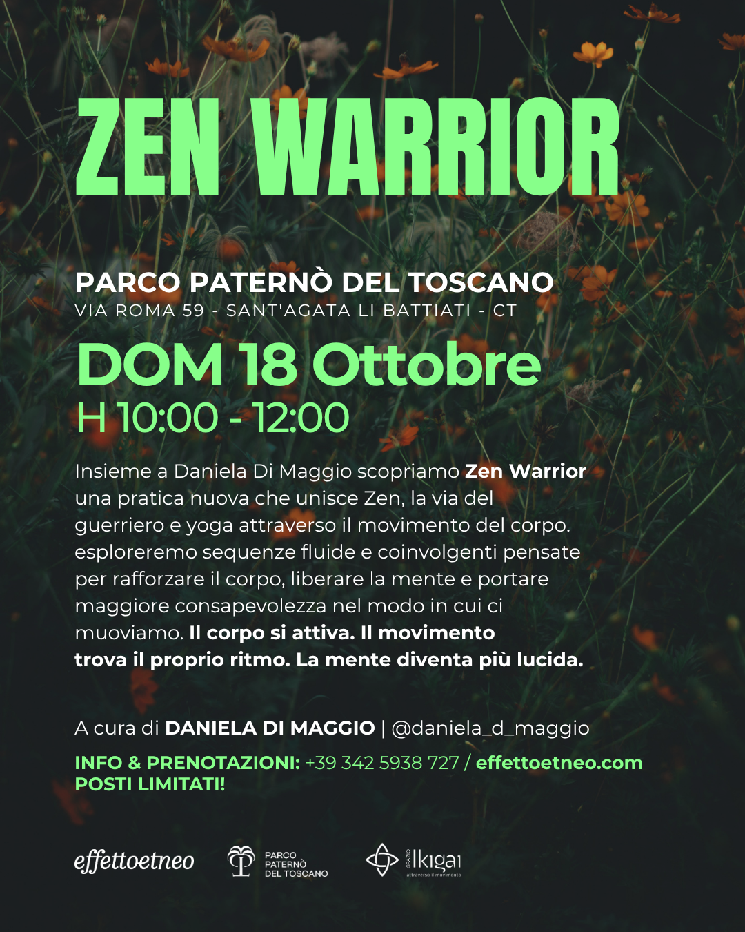 ZEN WARRIOR - 18/10