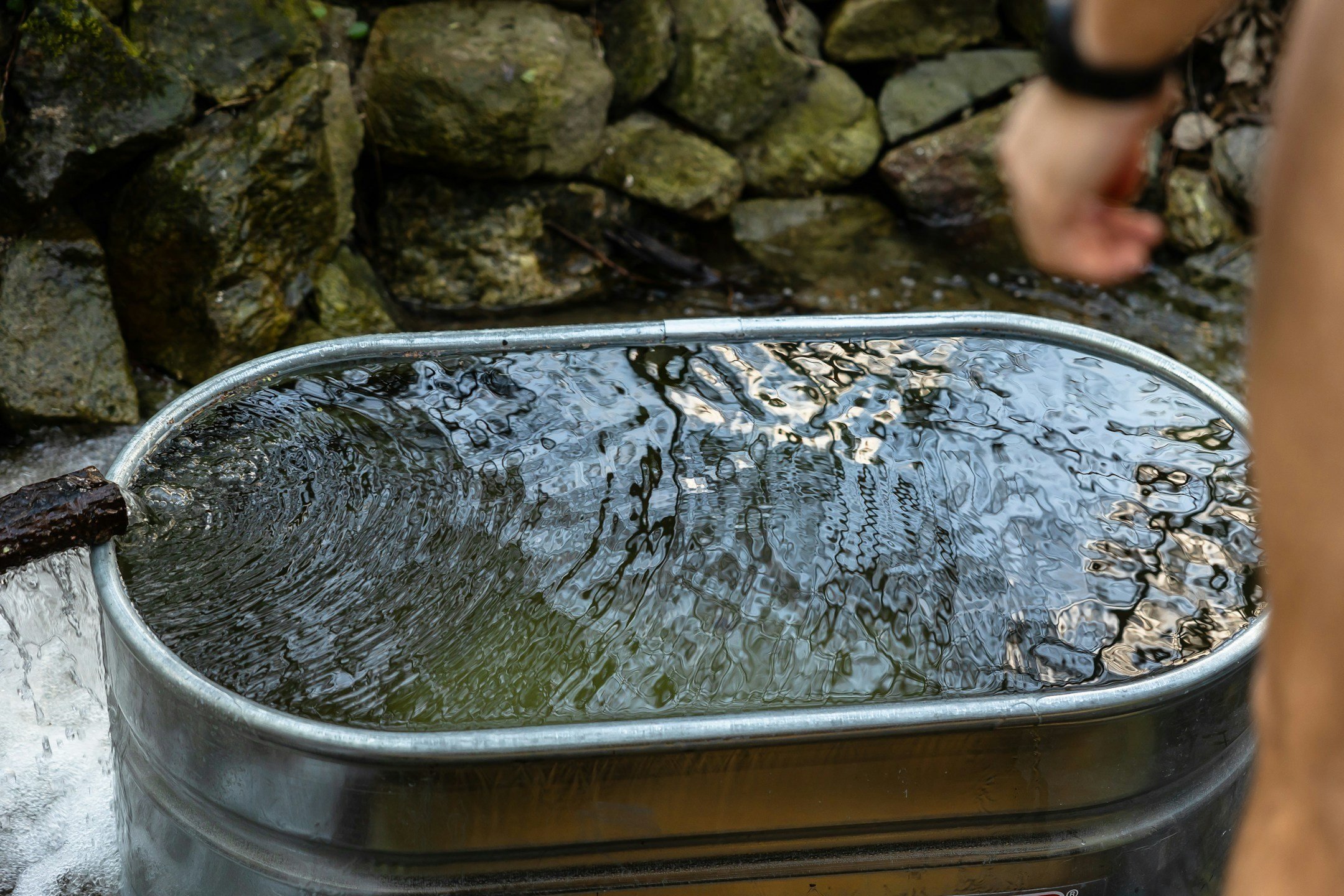 The Mental Health Benefits of Cold Water Immersion: Science Behind the Ice Bath Trend