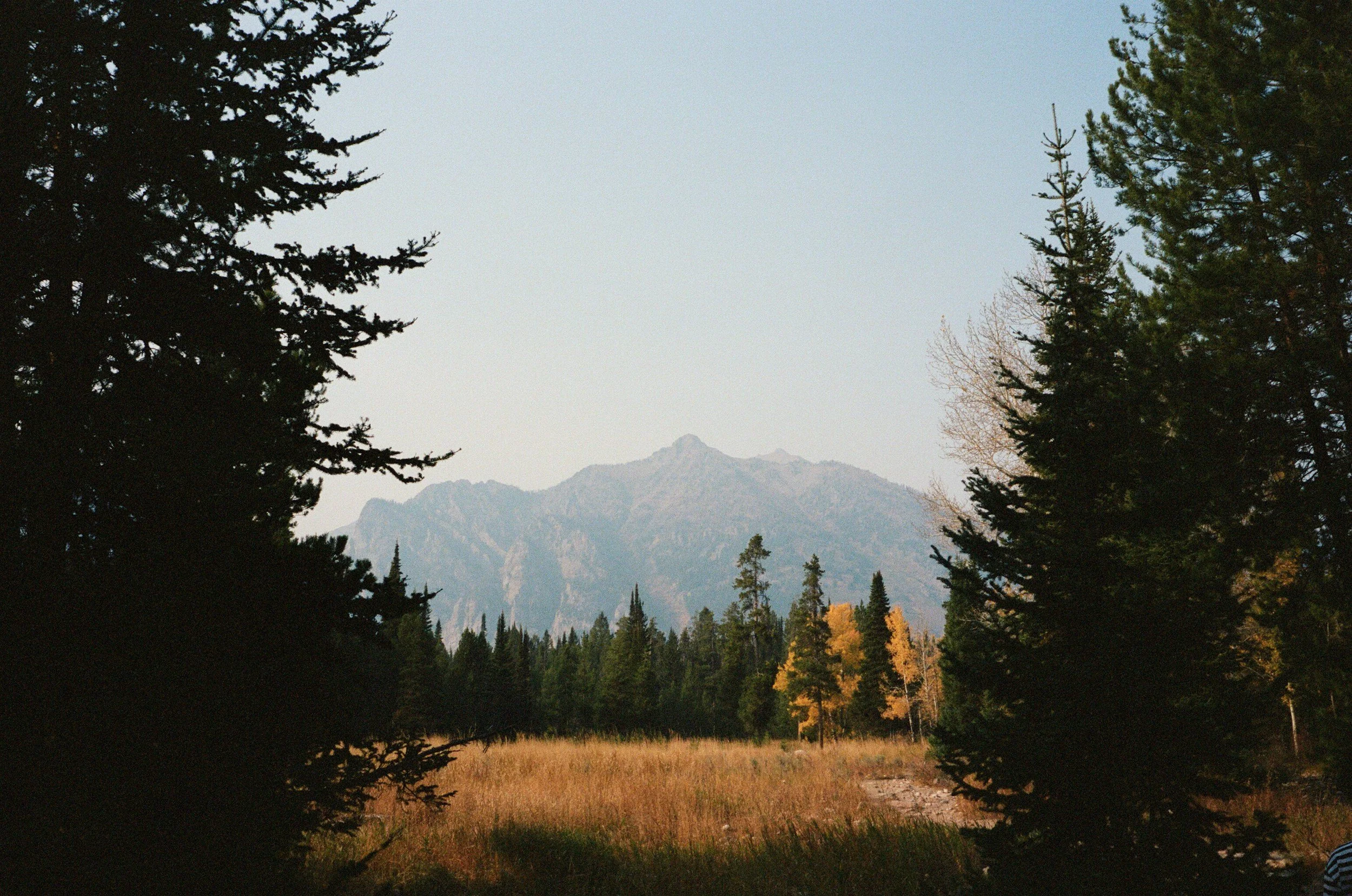 unsplash-image-Hx-91MSmDto.jpg