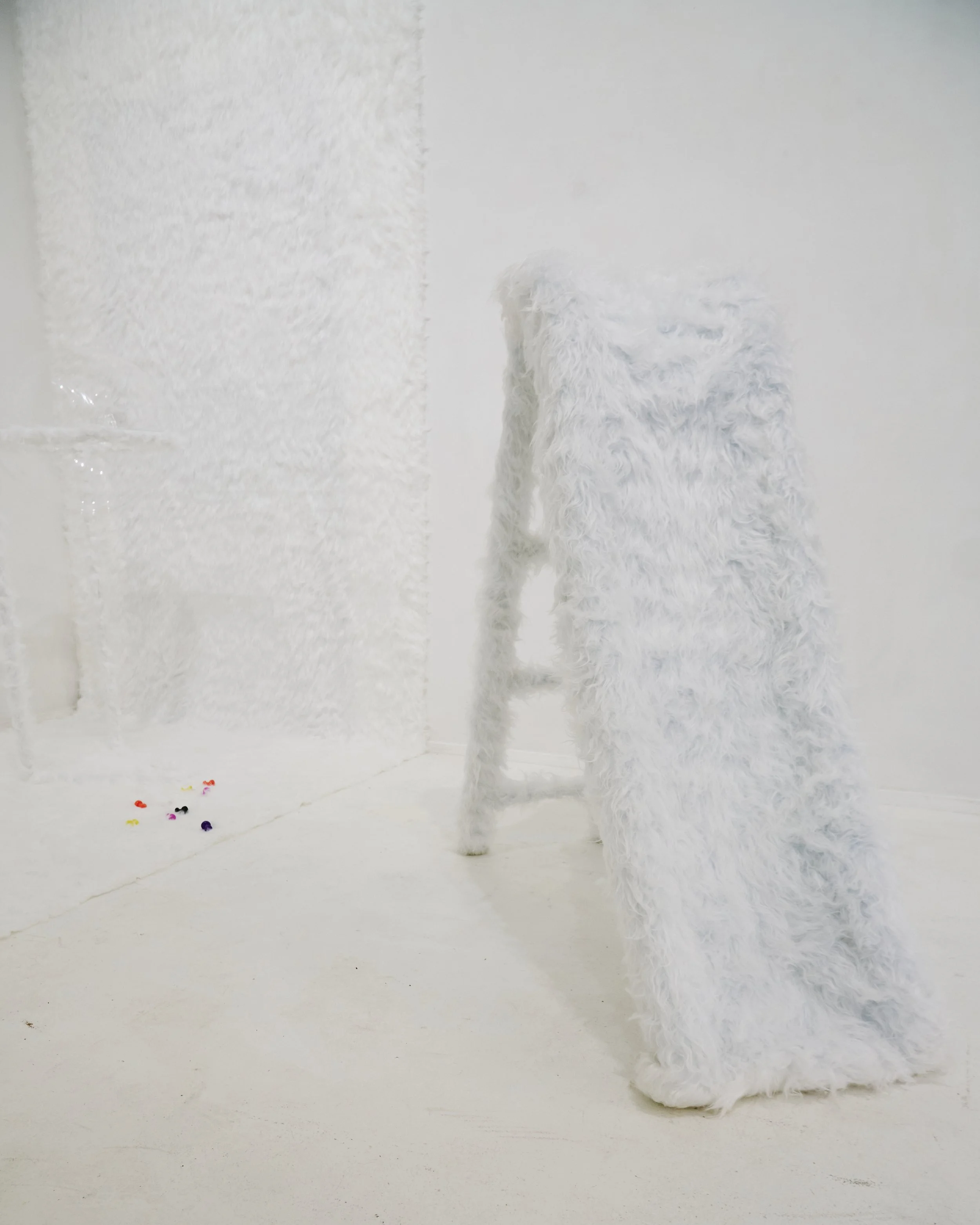 260611_GalleryRoom_Rossana_27.jpg