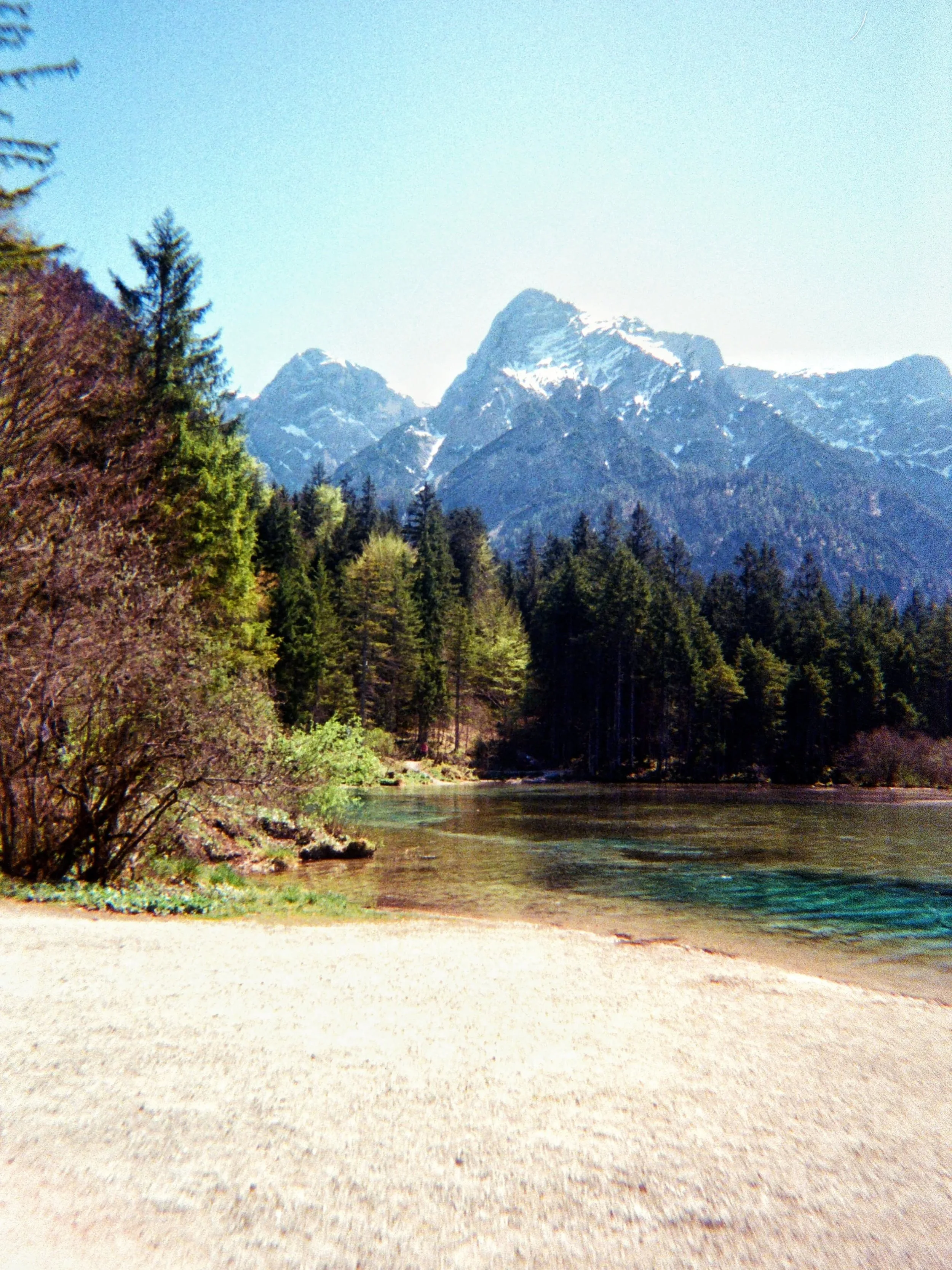 Springtime in the Salzkammergut last month 

#35mm #salzkammergut #austria