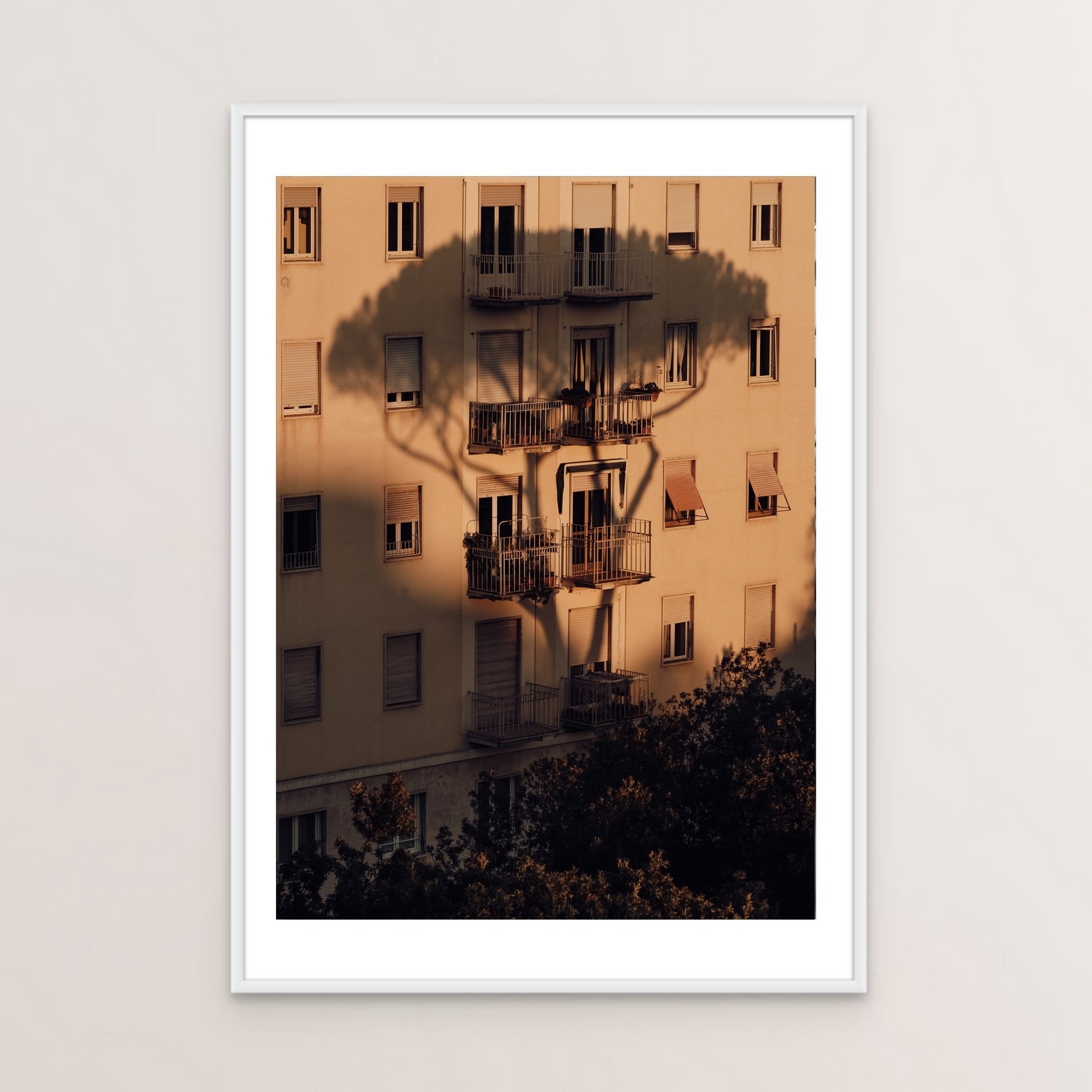 Testaccio-White-Frame.jpg
