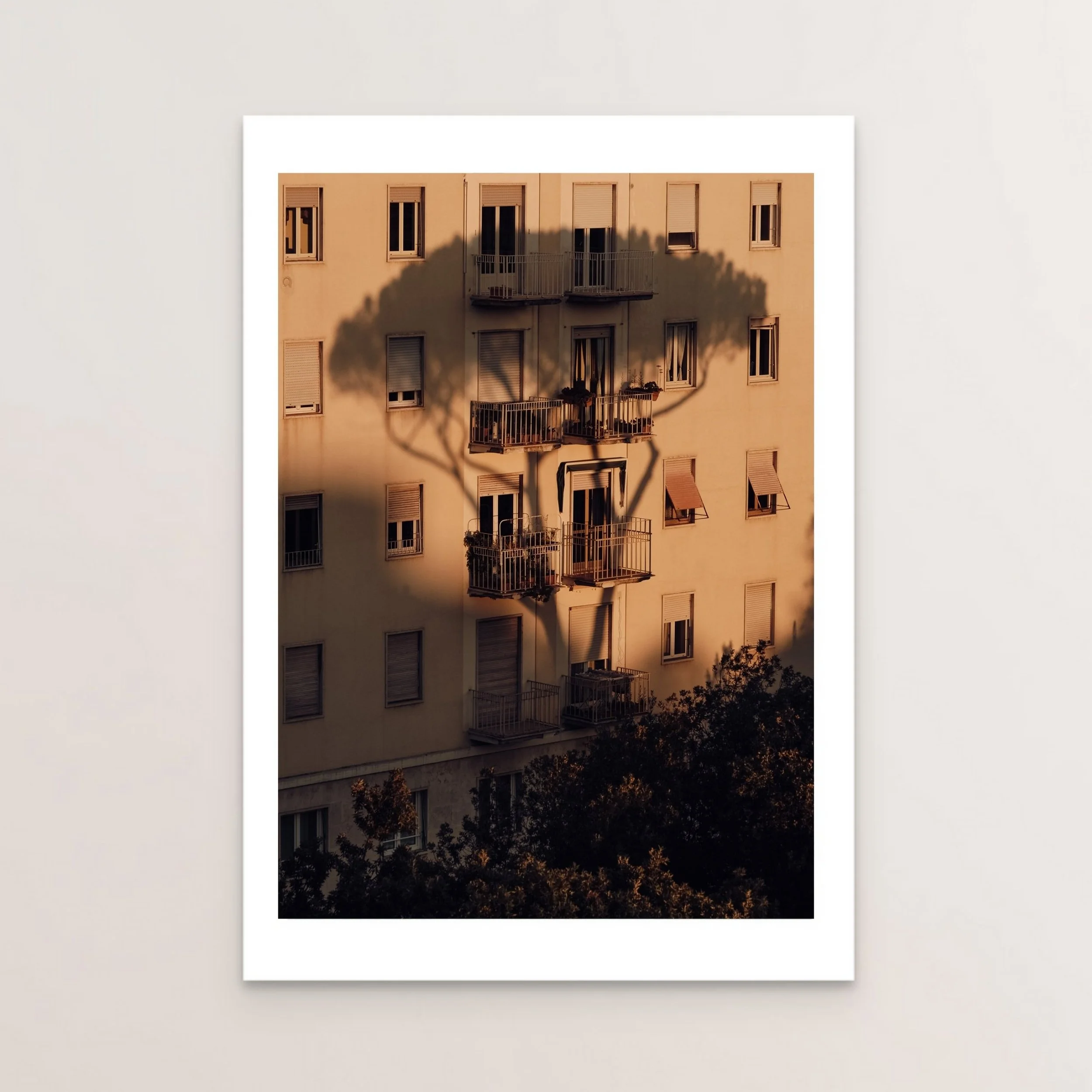 Testaccio-Print-Only.jpg