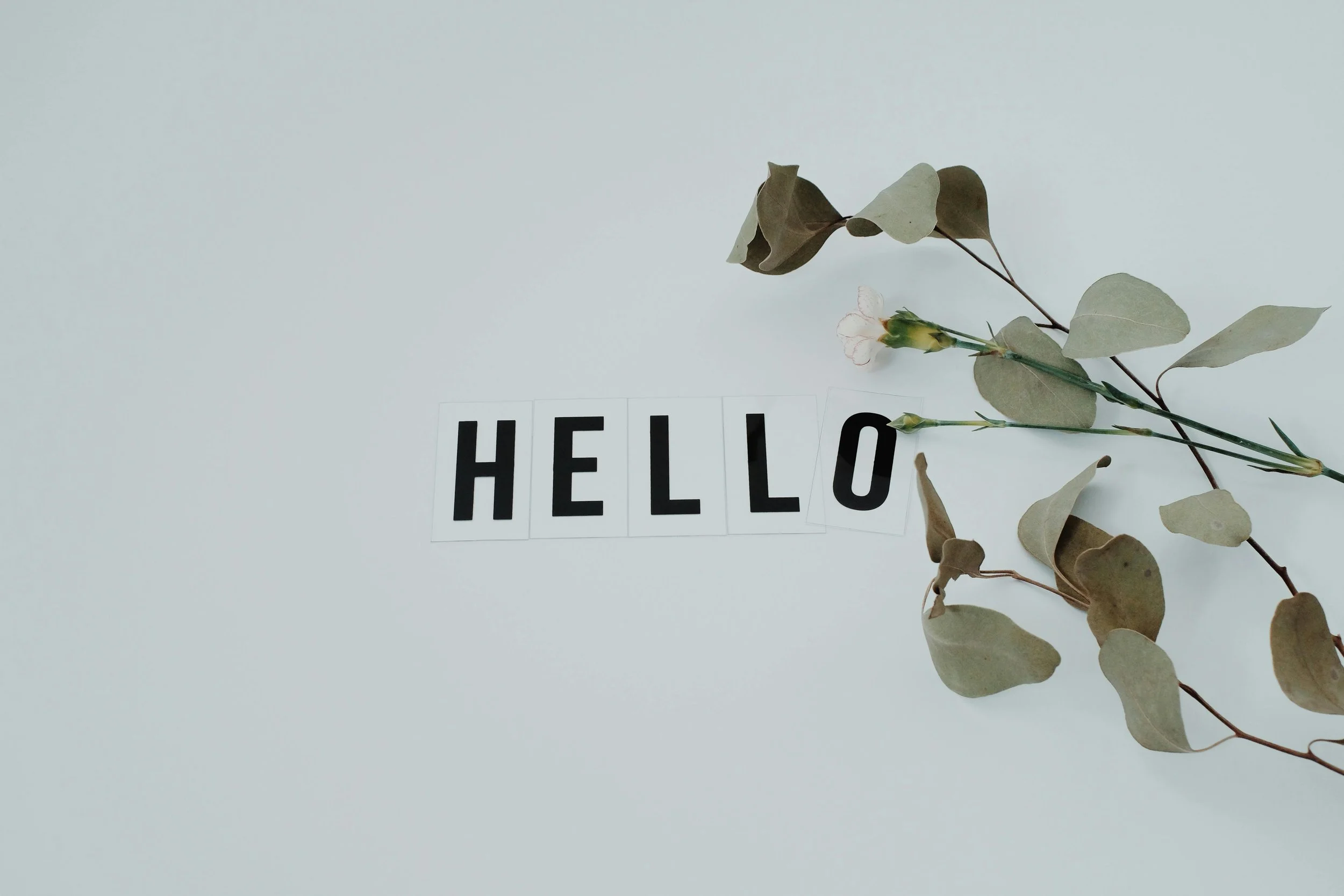 Eucalyptus leaves and sprigs laying next to the word "HELLO" spelled with black and white letter tiles on a light-colored surface.