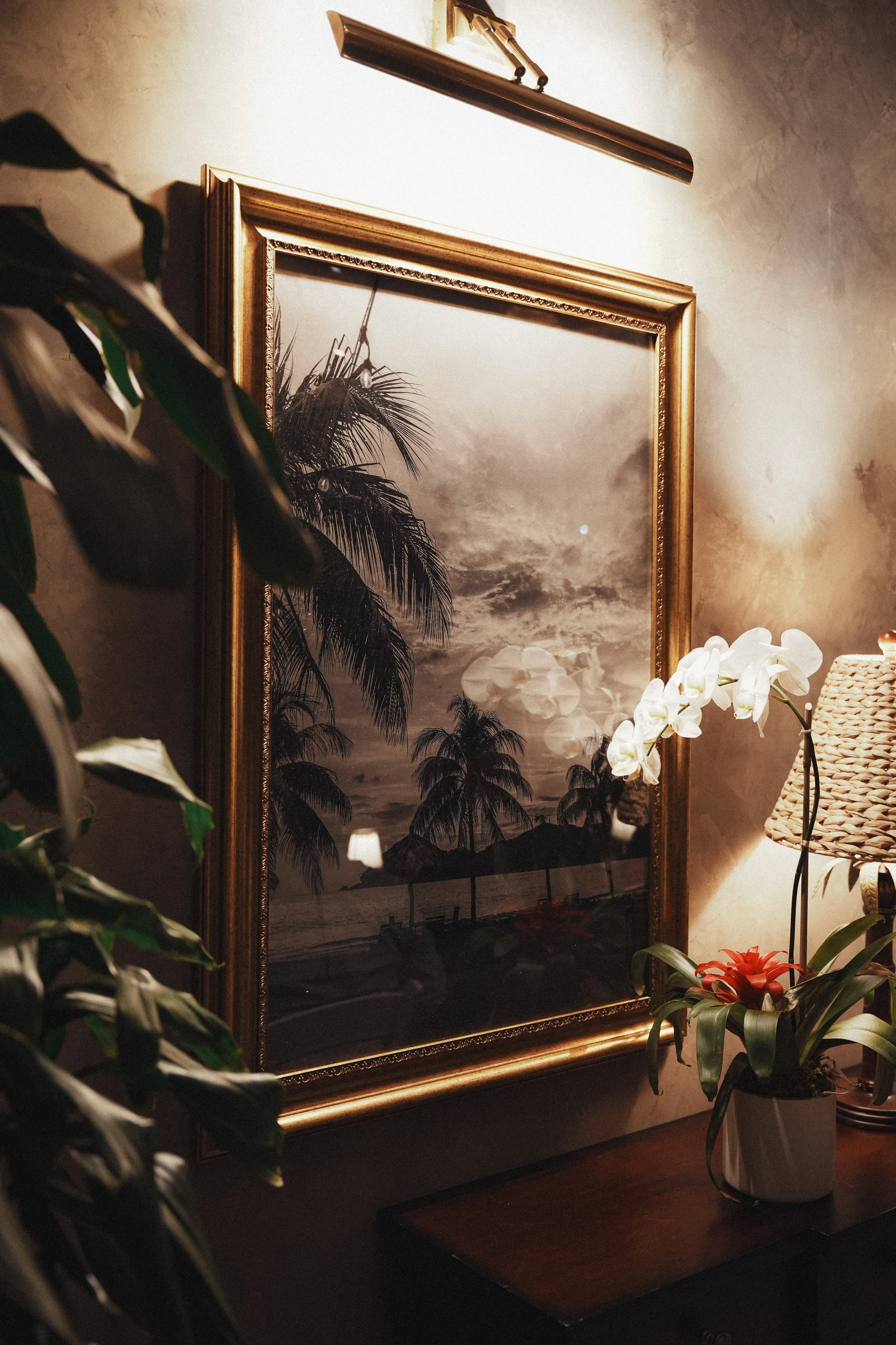 ELEVATEDMEDIAFL-09278 (1).jpg