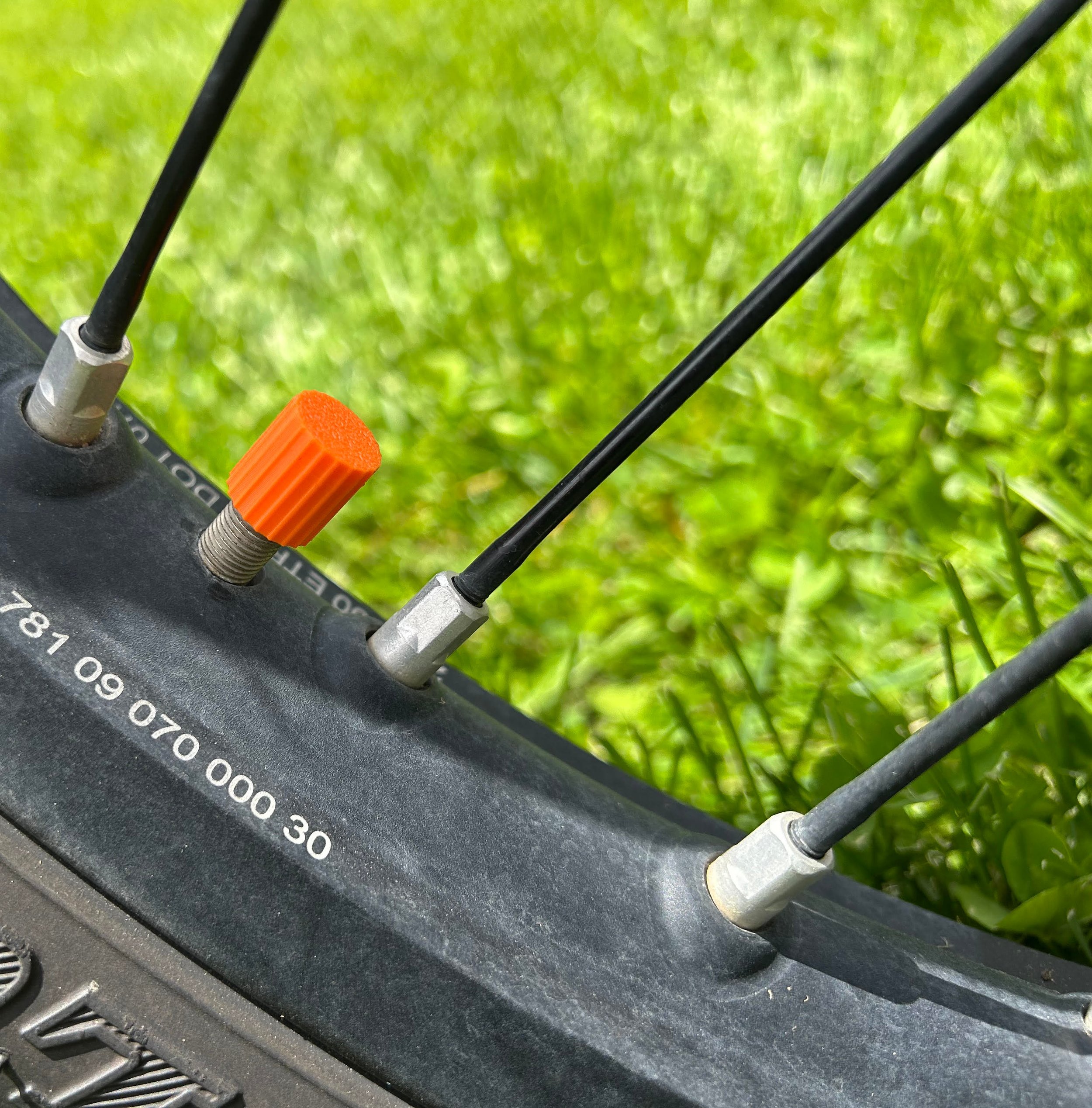Photo 2.jpg