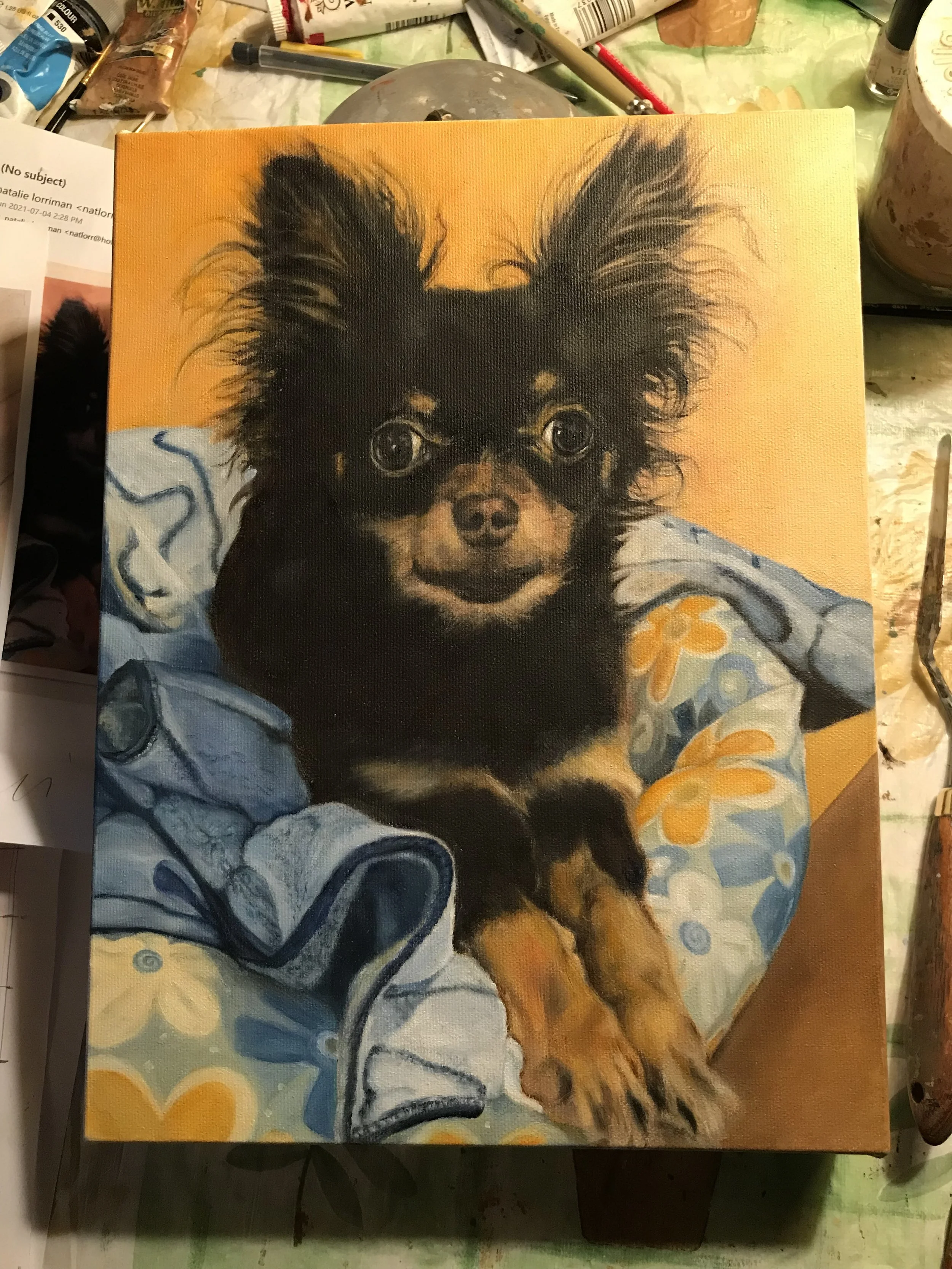 64877871095__EE6EE7FF-11C1-46B2-B6A5-AC3FD1EDCEBA copy.jpg