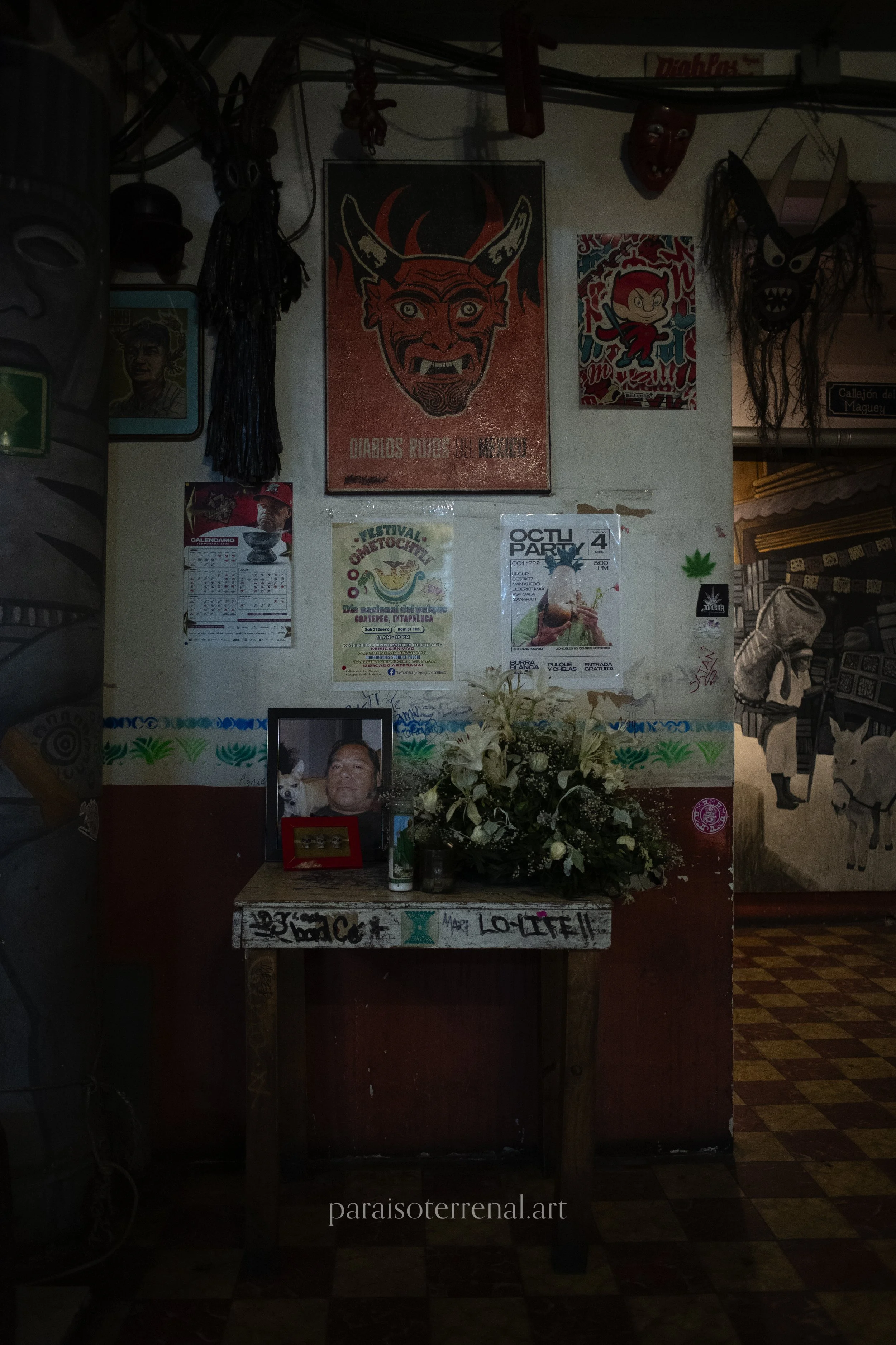 NZR_4979.NEF.jpeg
