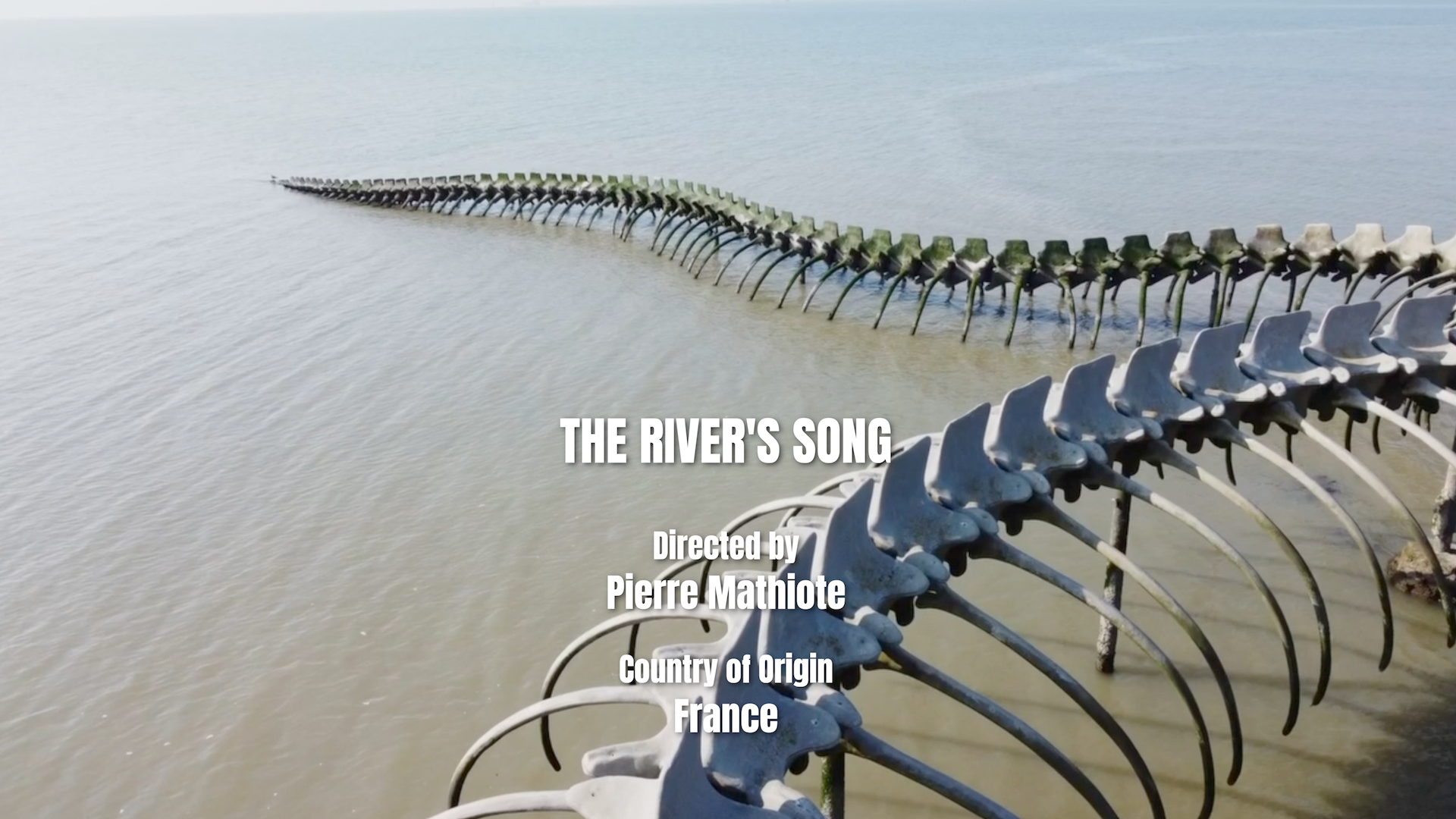 THE RIVER'S SONG.png