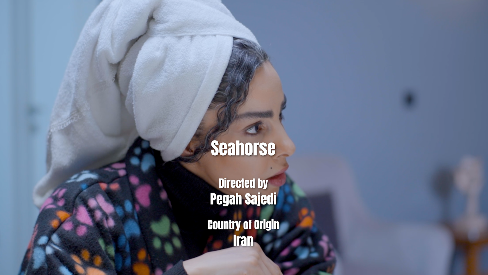 Seahorse.png