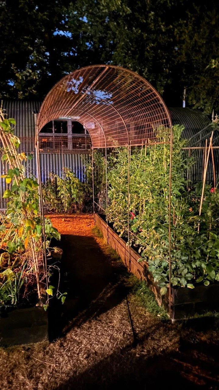 A garden pathway leading through a steel arch tunnel structure, with lush green plants on either side, at nighttime.