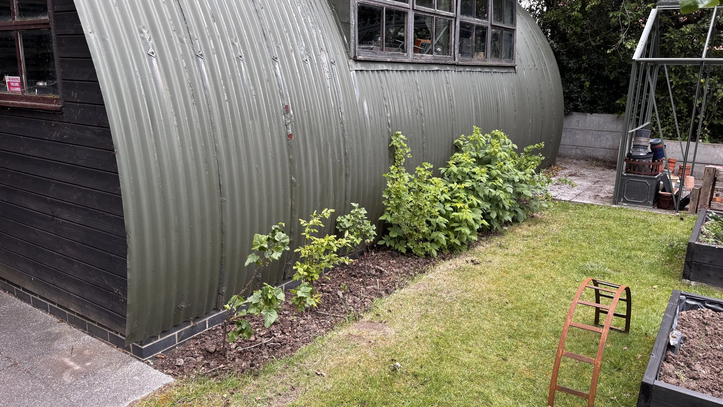 Garden with green plants along a corrugated metal shed and a black wooden shed, with a patch of grass and gardening tools.