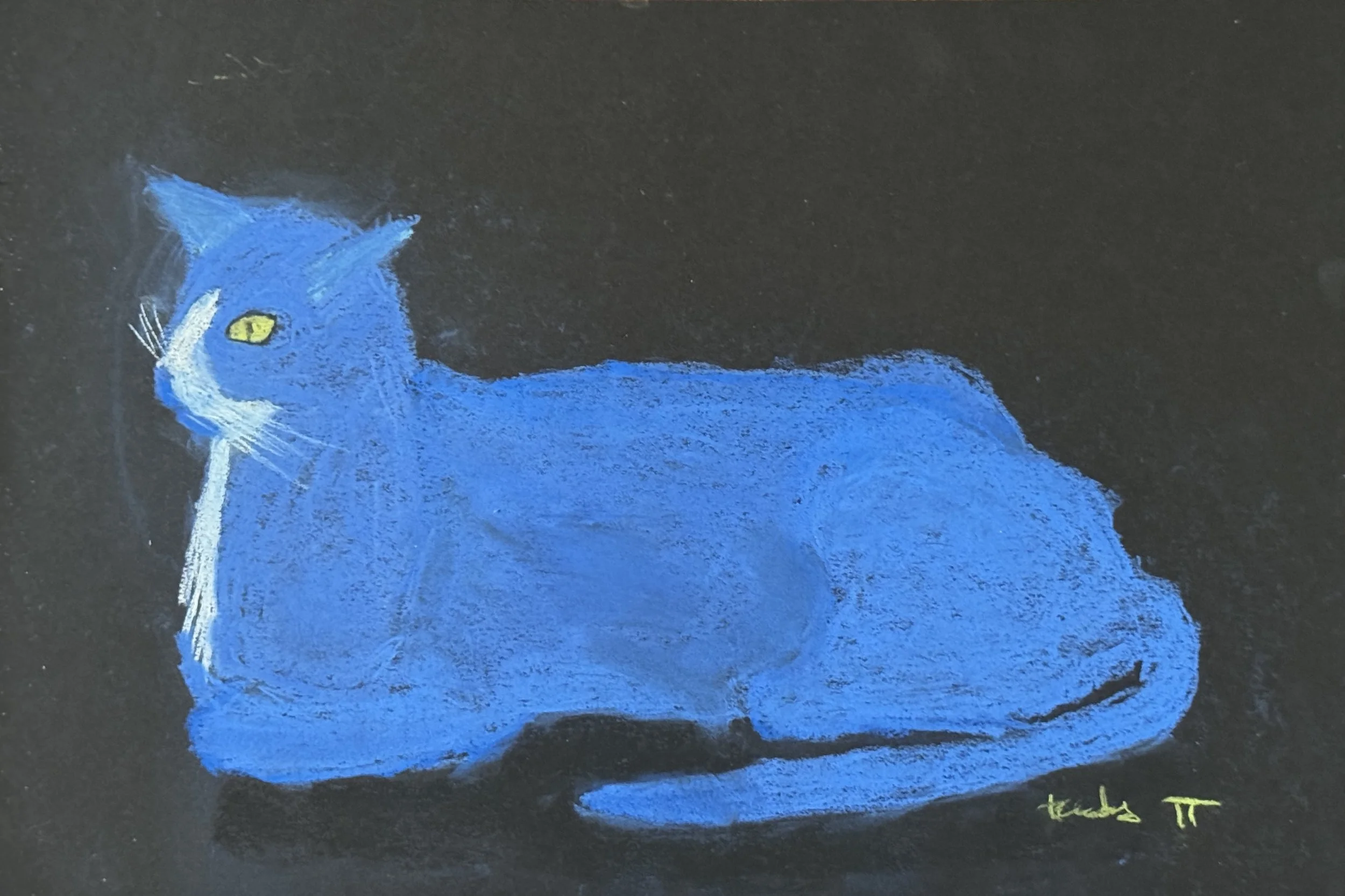 My Cat on Black (2024)