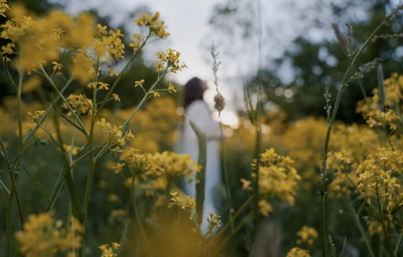 Verwackeltes Bild einer Frau im weißen Kleid, die durch einen Felssüden im blühenden gelben Blumenfeld geht, bei Sonnenuntergang im Hintergrund.