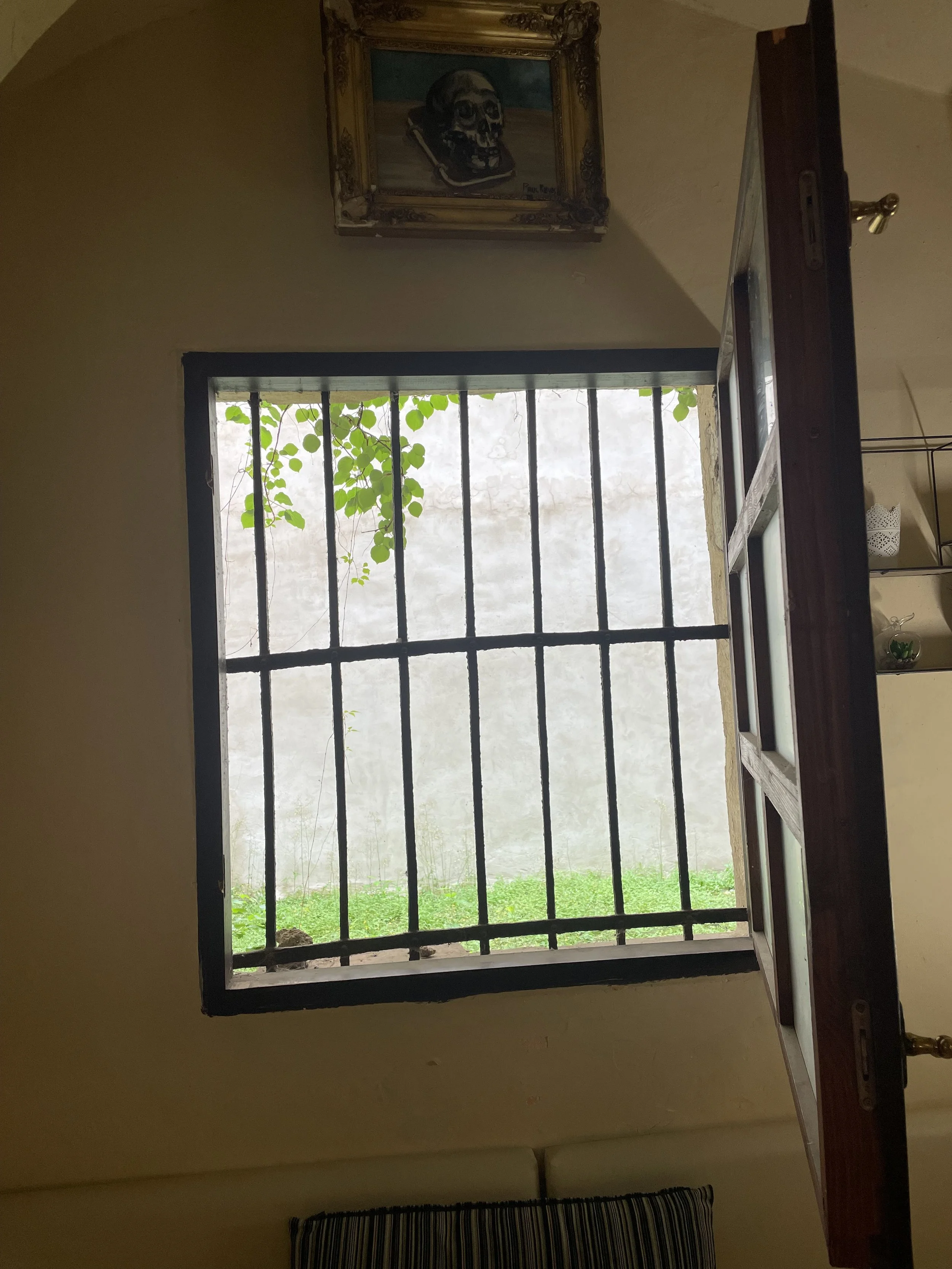 IMG_1301.jpeg