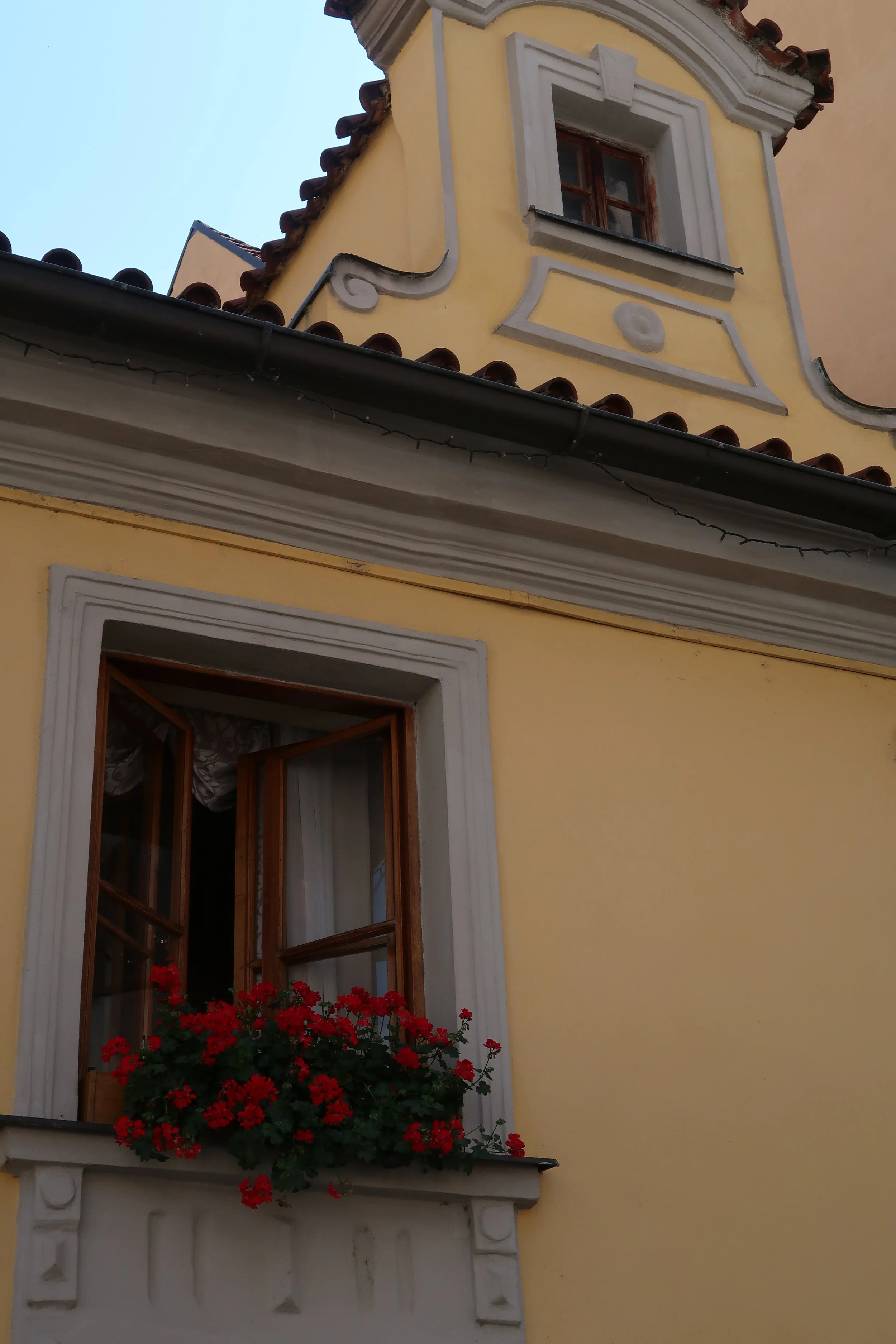 IMG_0835.jpeg