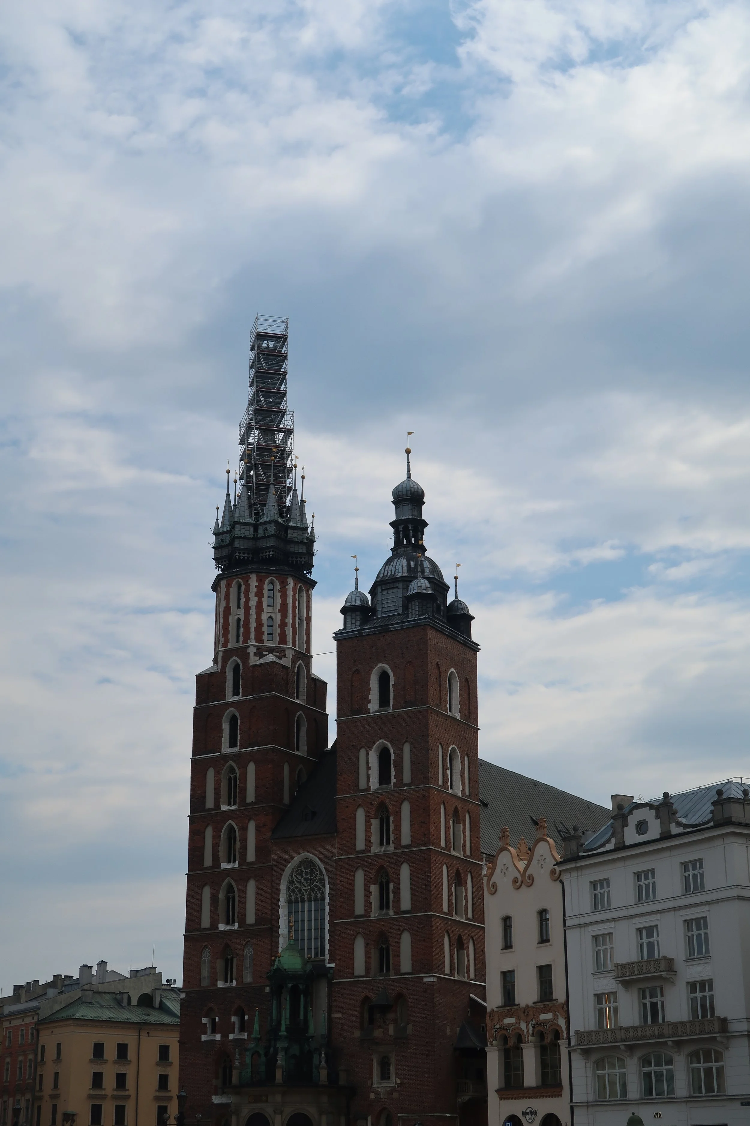 IMG_1009.jpeg