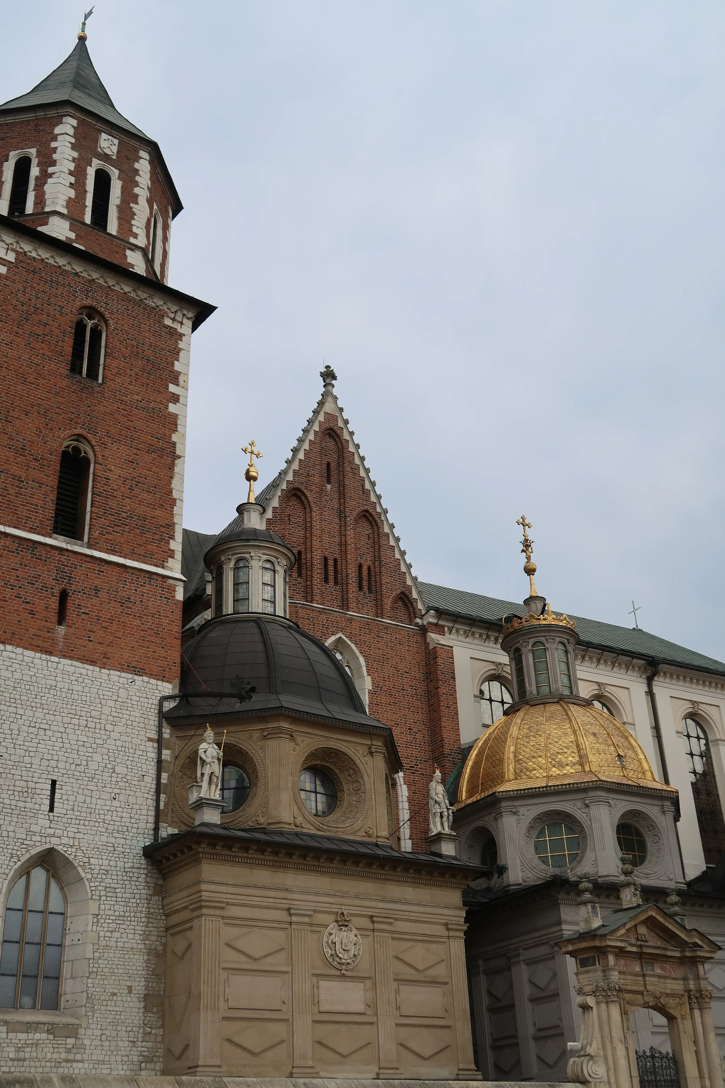 IMG_1029.jpeg