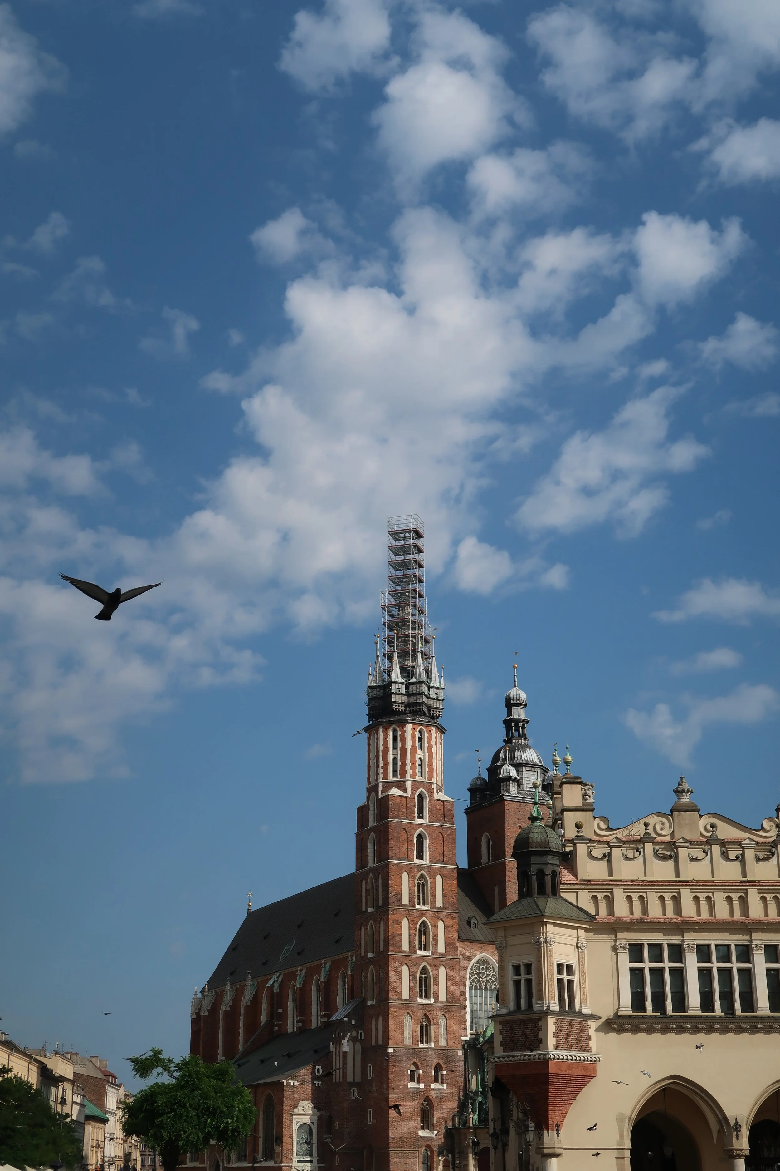 IMG_1120.jpeg