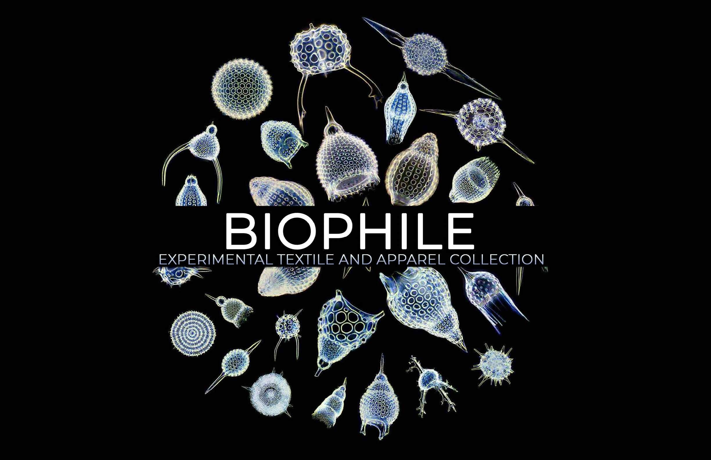 ivh portfolio doc3_Page_02.jpg